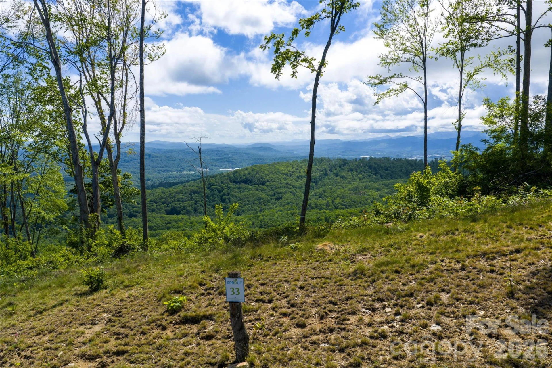 TBD E Garden Trail #33 - Photo 3