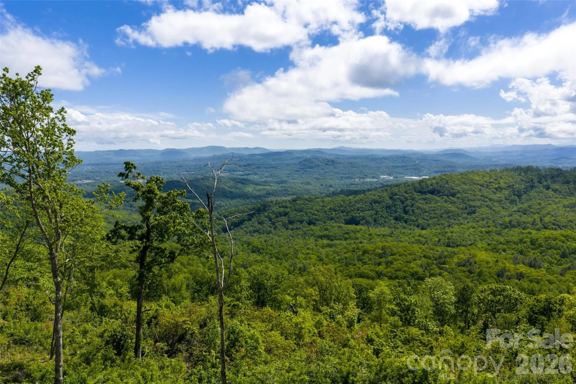 TBD E Garden Trail #33 - Photo 21