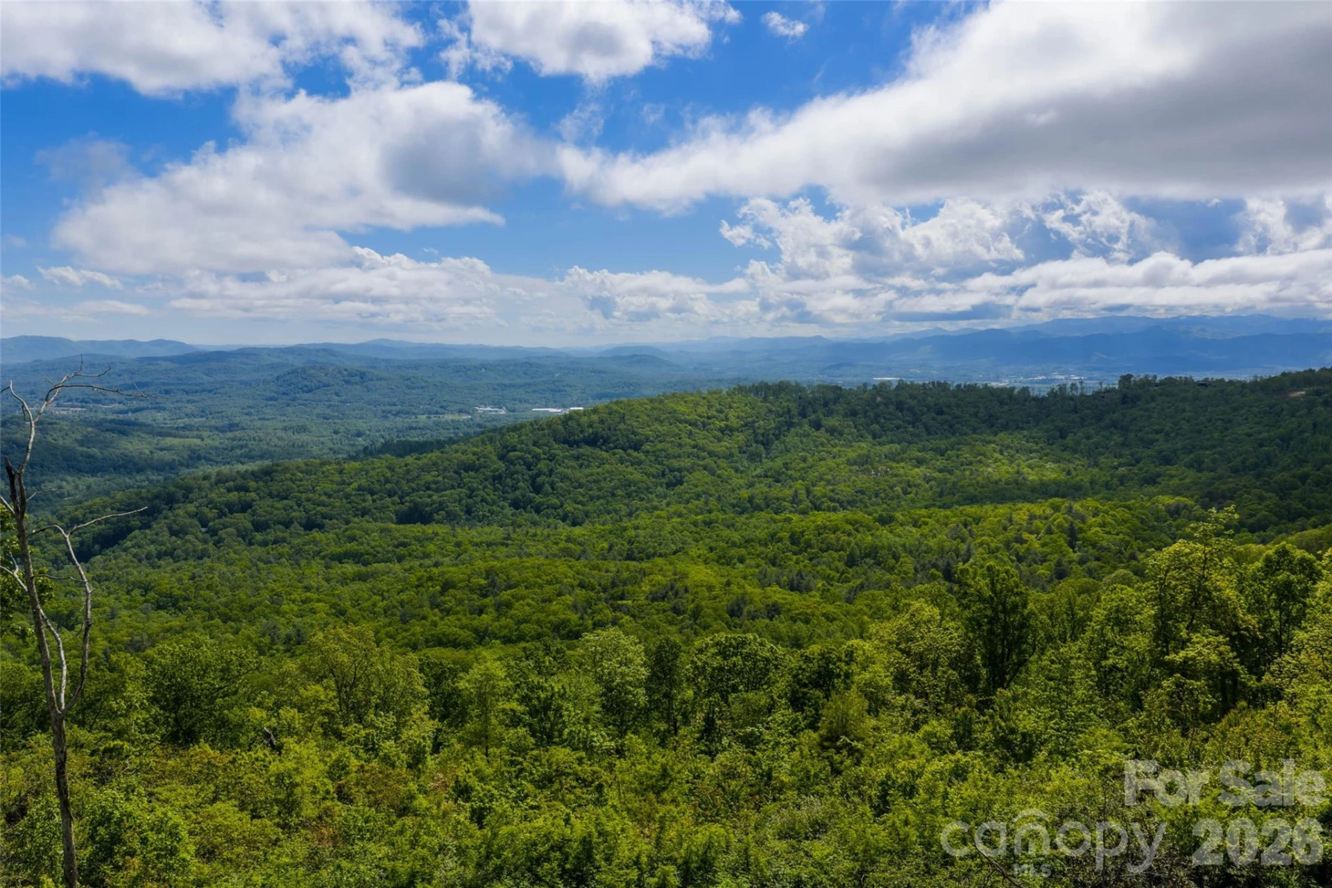 TBD E Garden Trail #33 - Photo 15