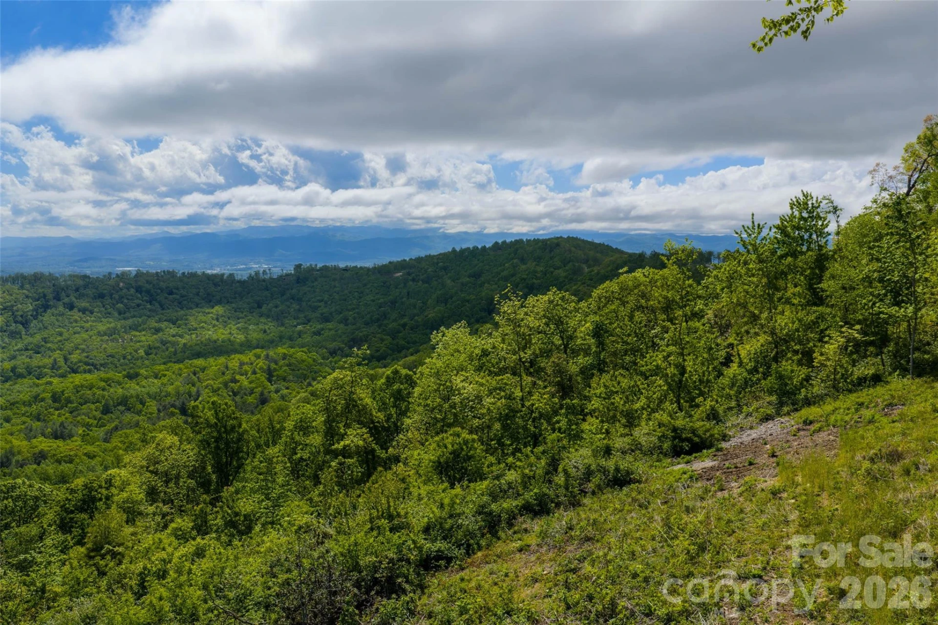 TBD E Garden Trail #33 - Photo 17