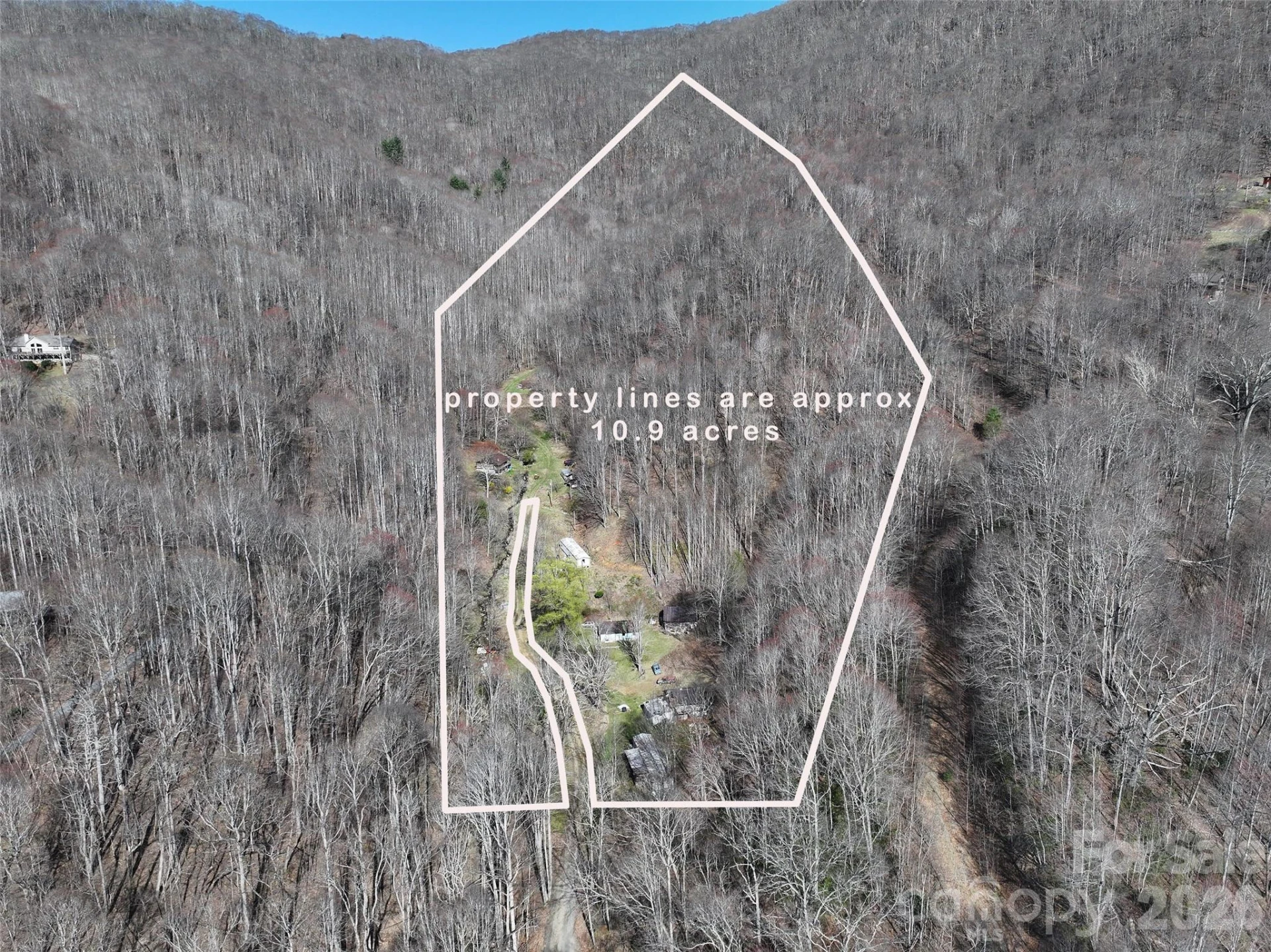 1002 Ned Cove Road - Photo 2