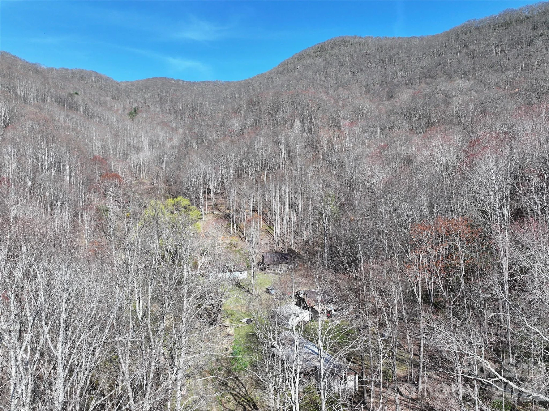 1002 Ned Cove Road - Photo 16
