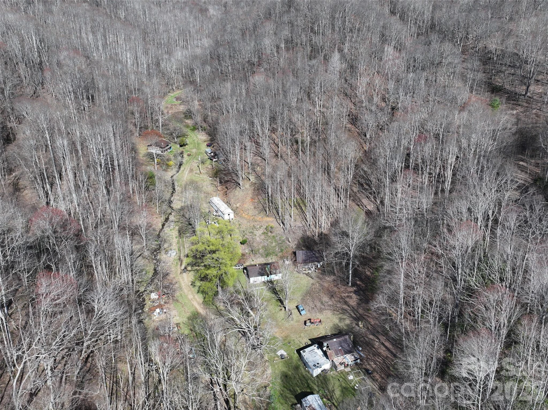 1002 Ned Cove Road - Photo 4