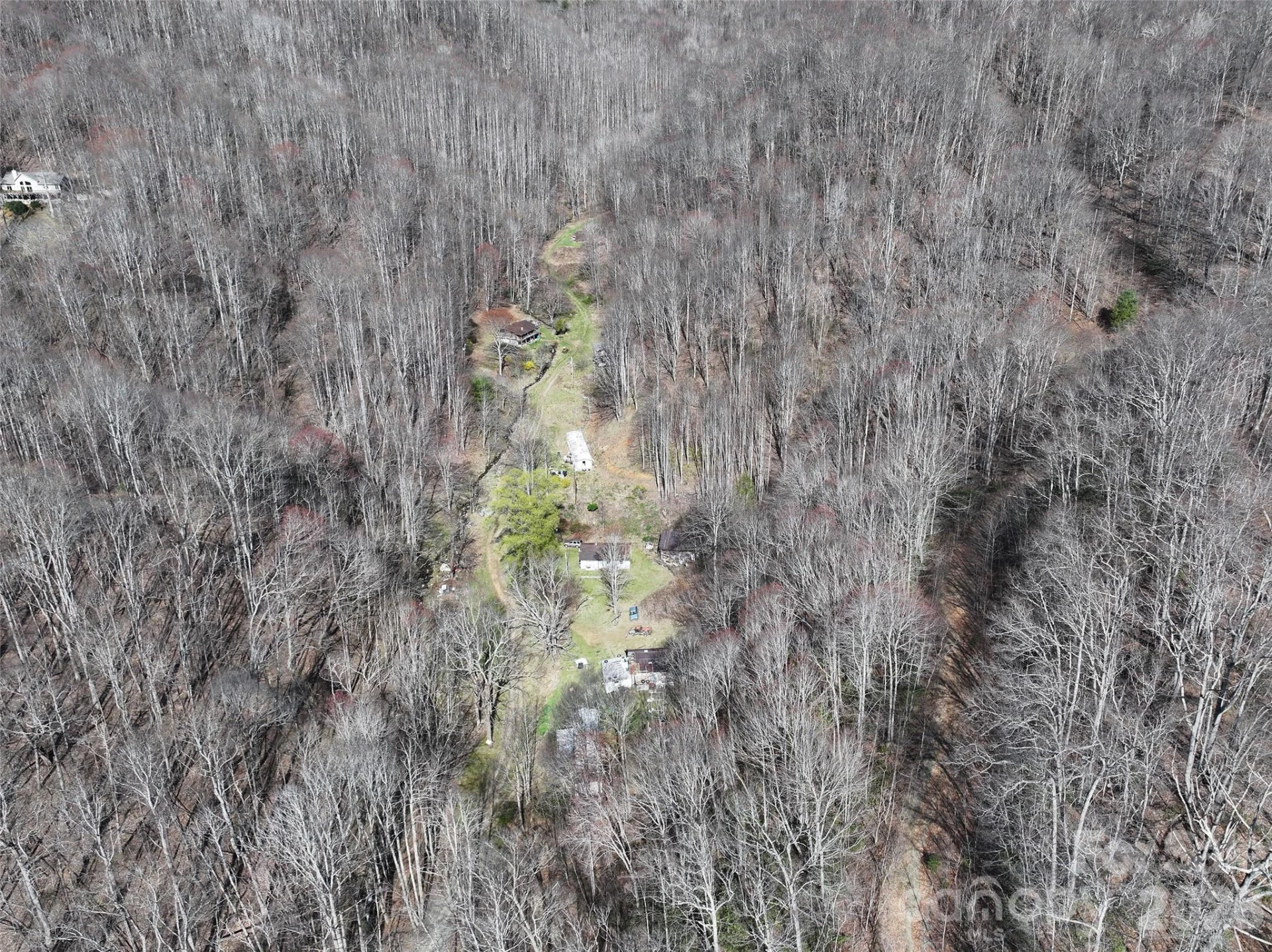 1002 Ned Cove Road - Photo 6