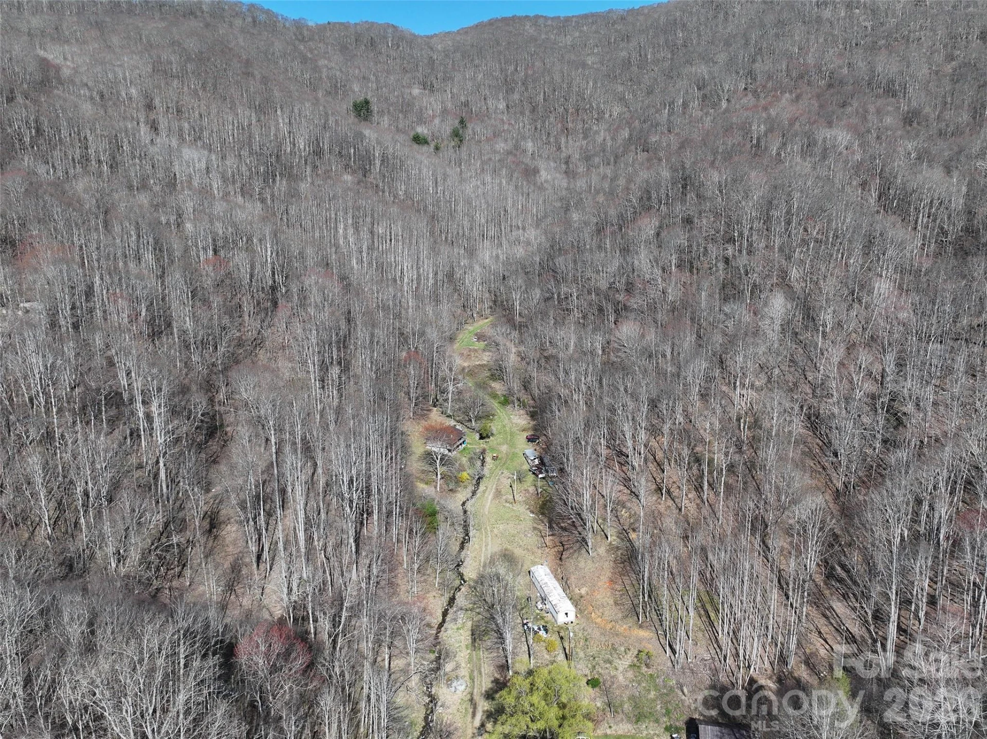 1002 Ned Cove Road - Photo 7