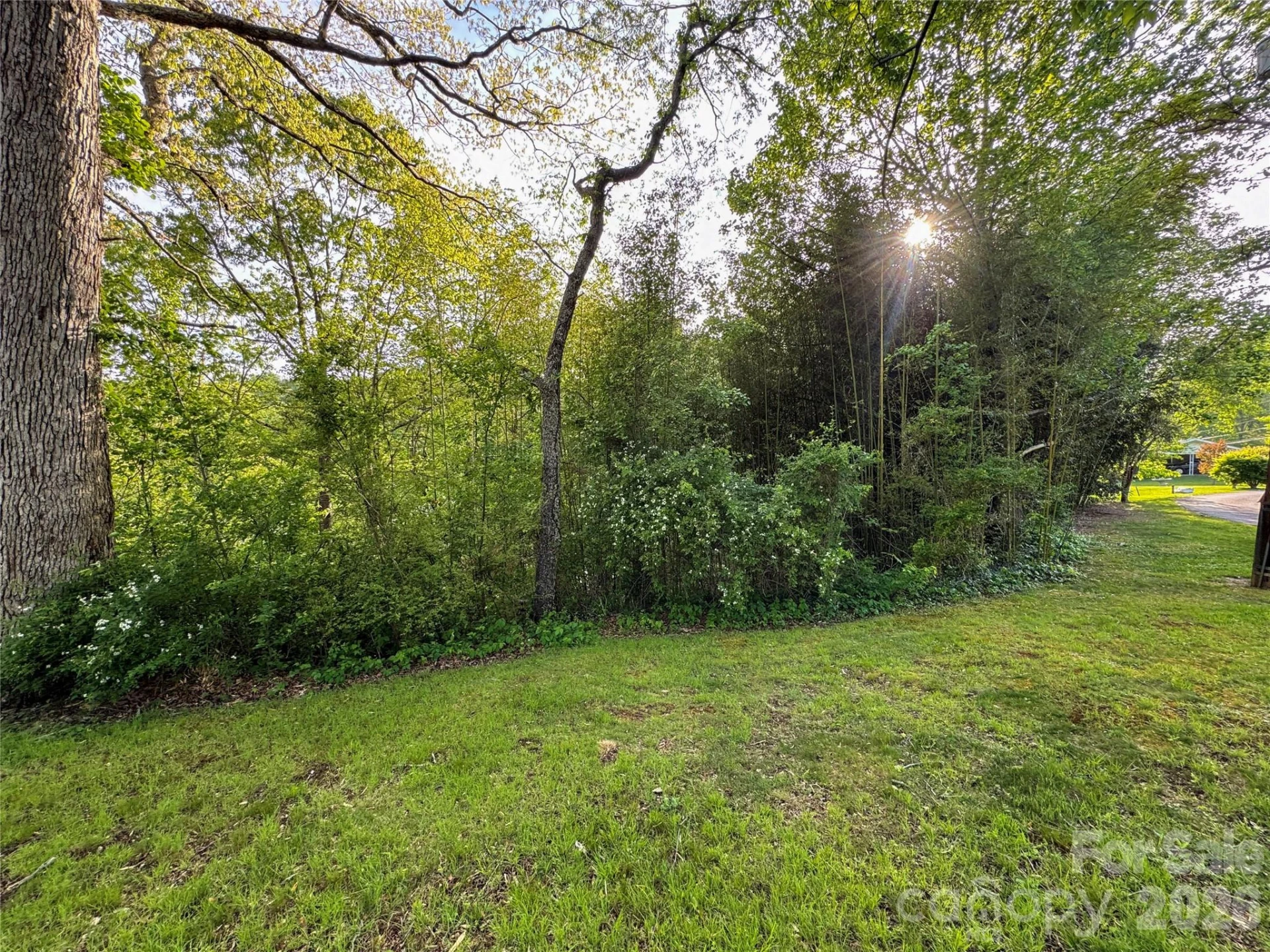 70 Winchester Drive - Photo 20