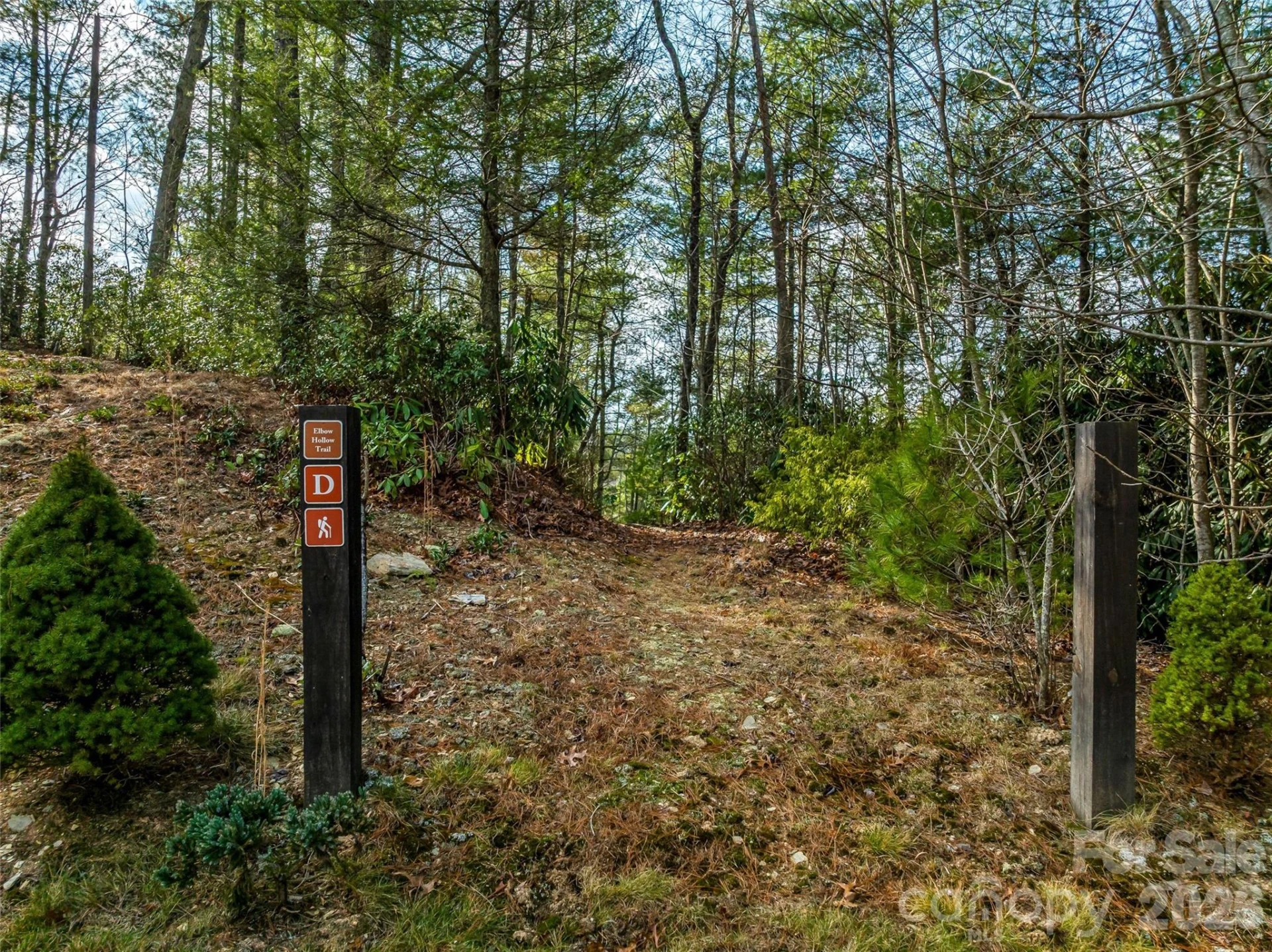 3735 French Broad Parkway - Photo 45
