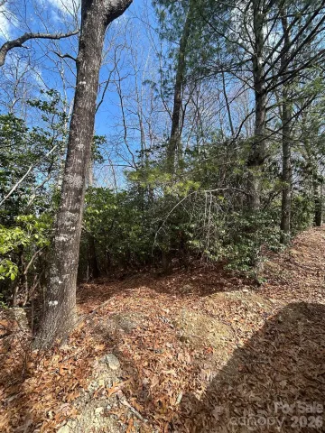 Lot 37 High Peak Road, Hendersonville, NC, 28739