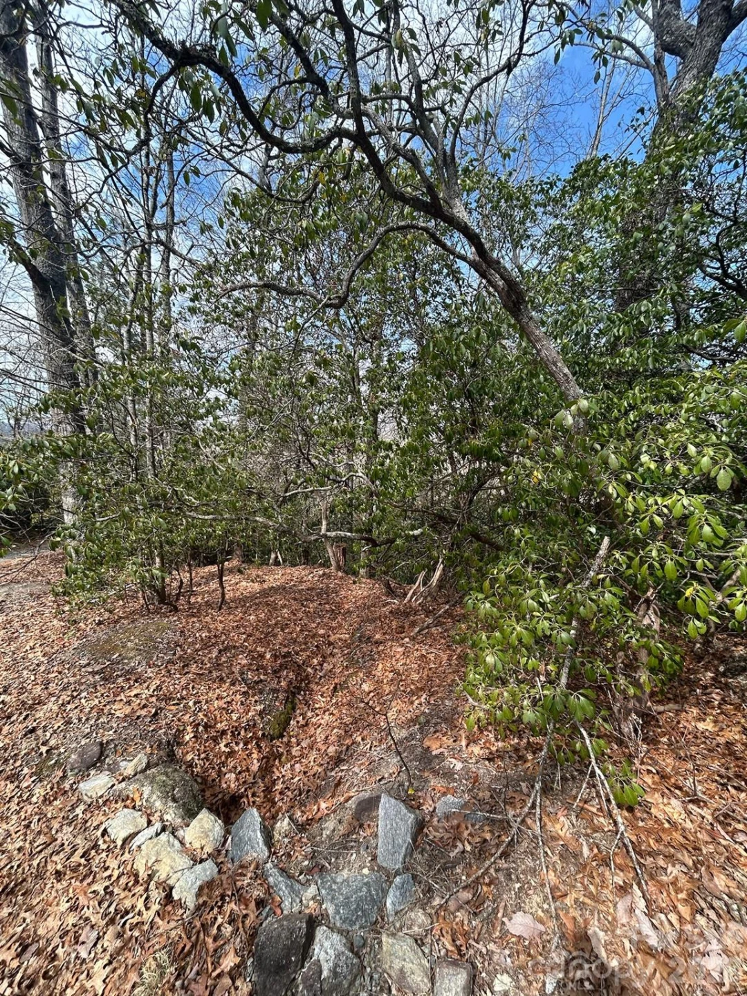 Lot 37 High Peak Road - Photo 2