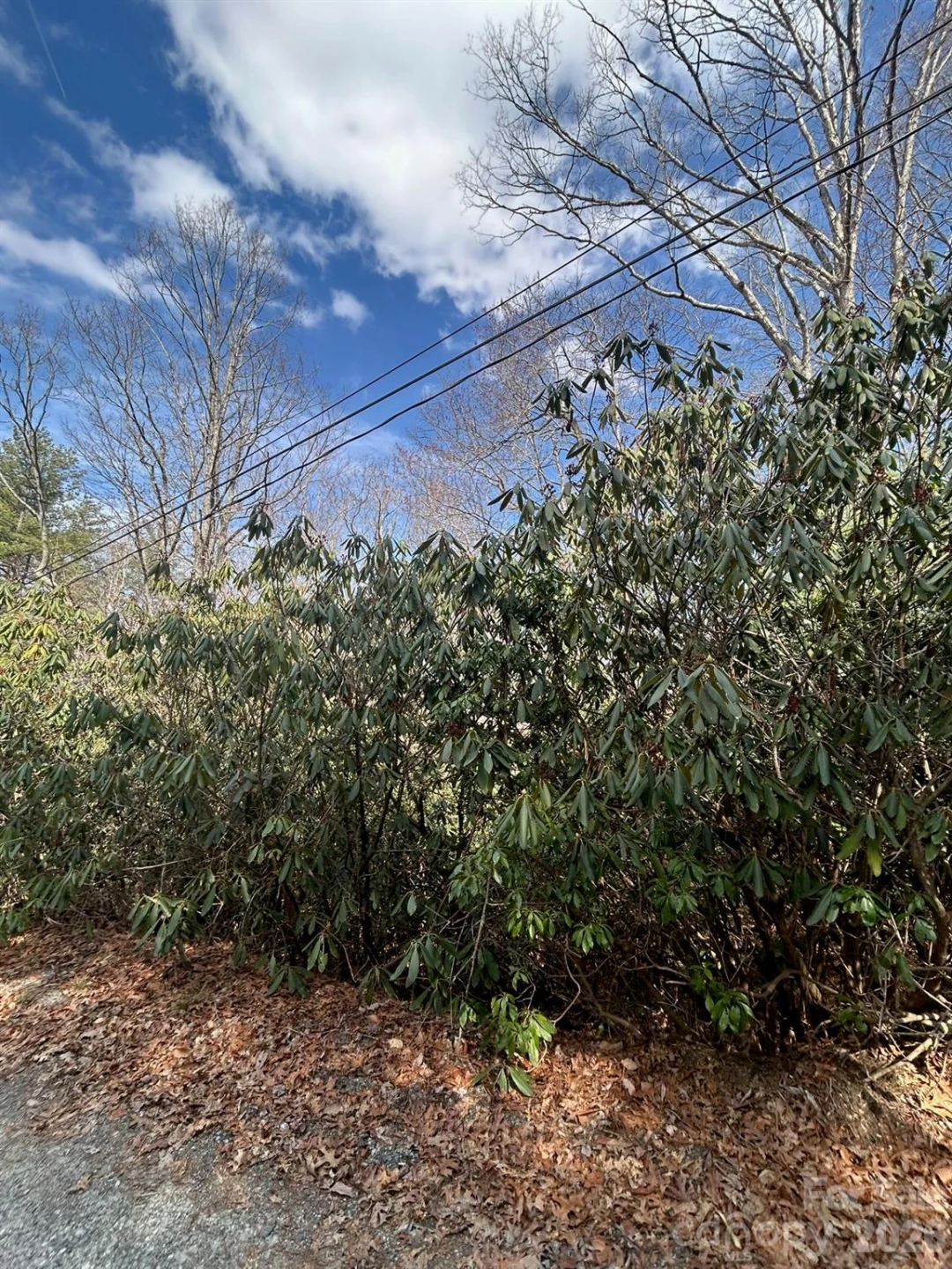 Lot 38 High Peak Road - Photo 3
