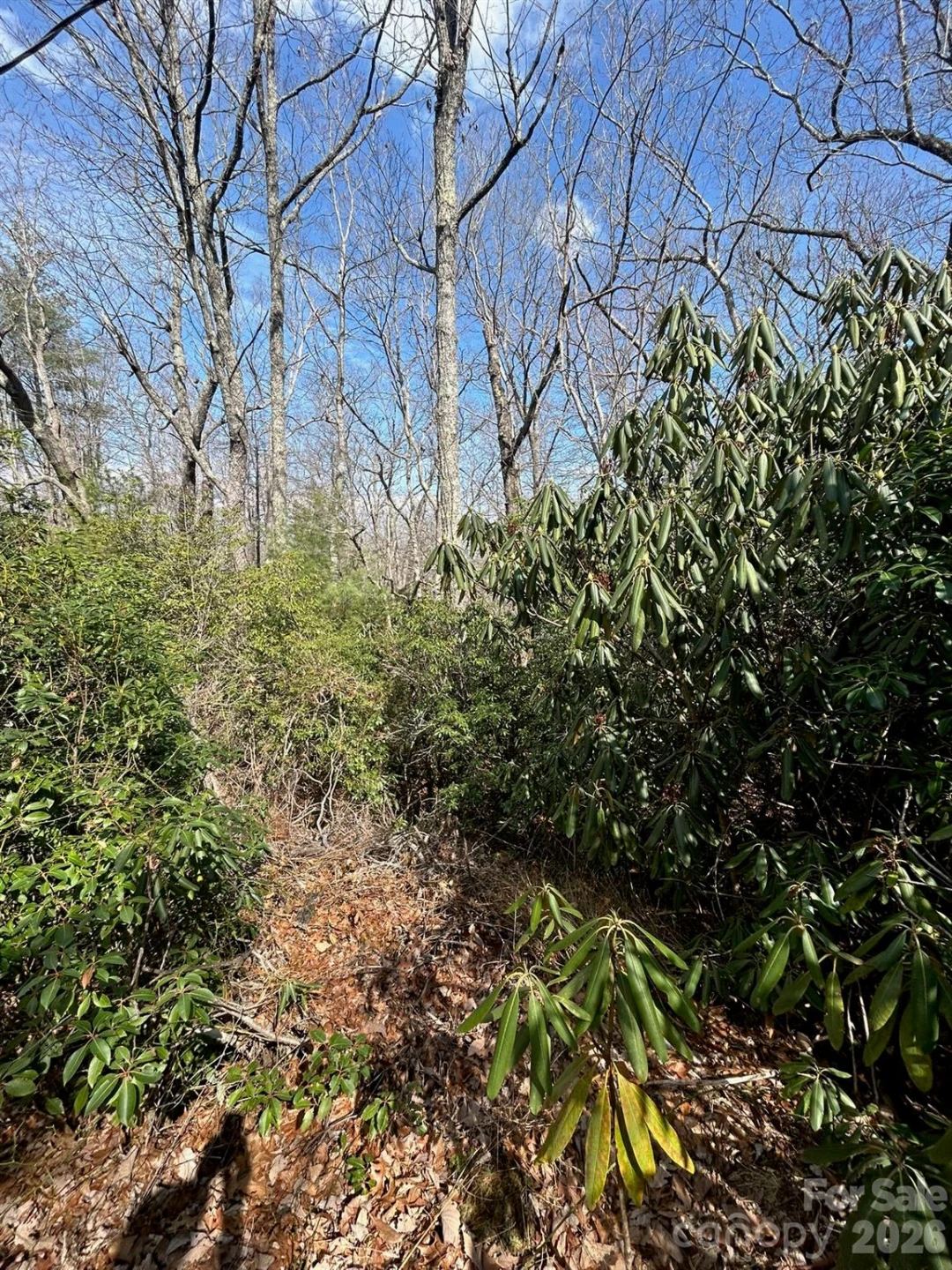 Lot 38 High Peak Road - Photo 4