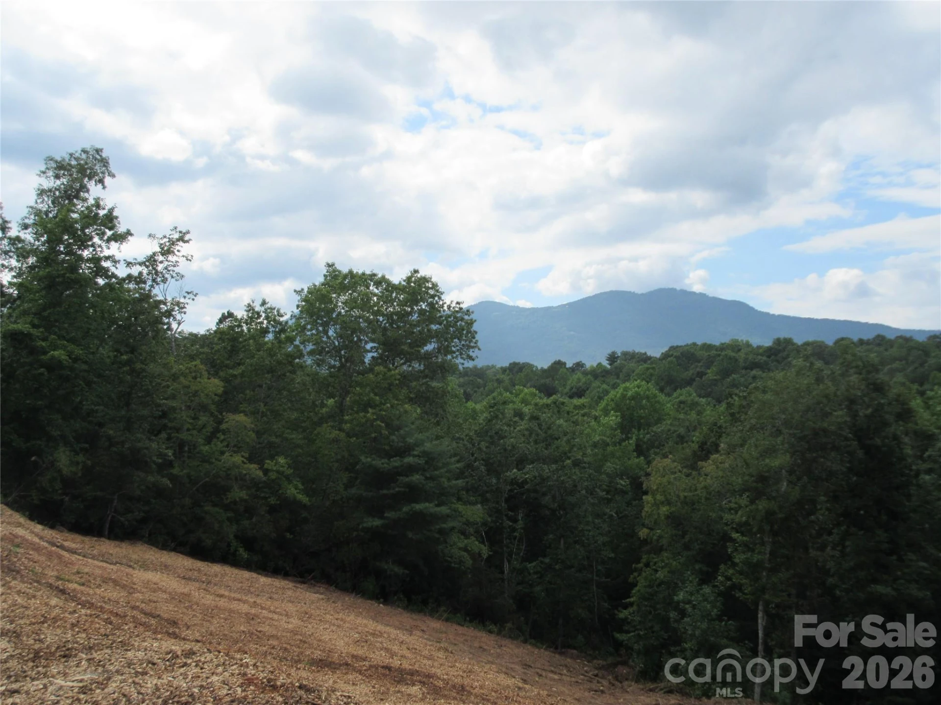 0 Levi Road - Photo 2