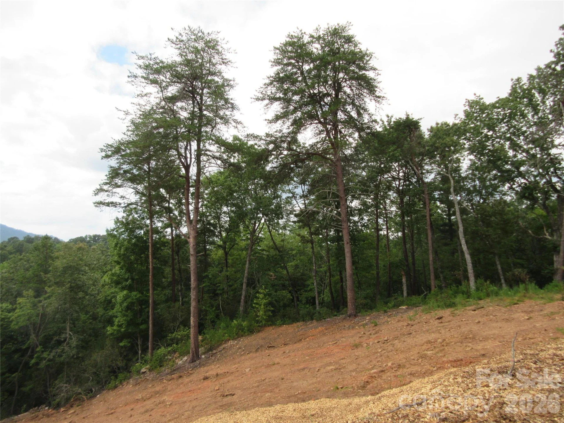 0 Levi Road - Photo 28
