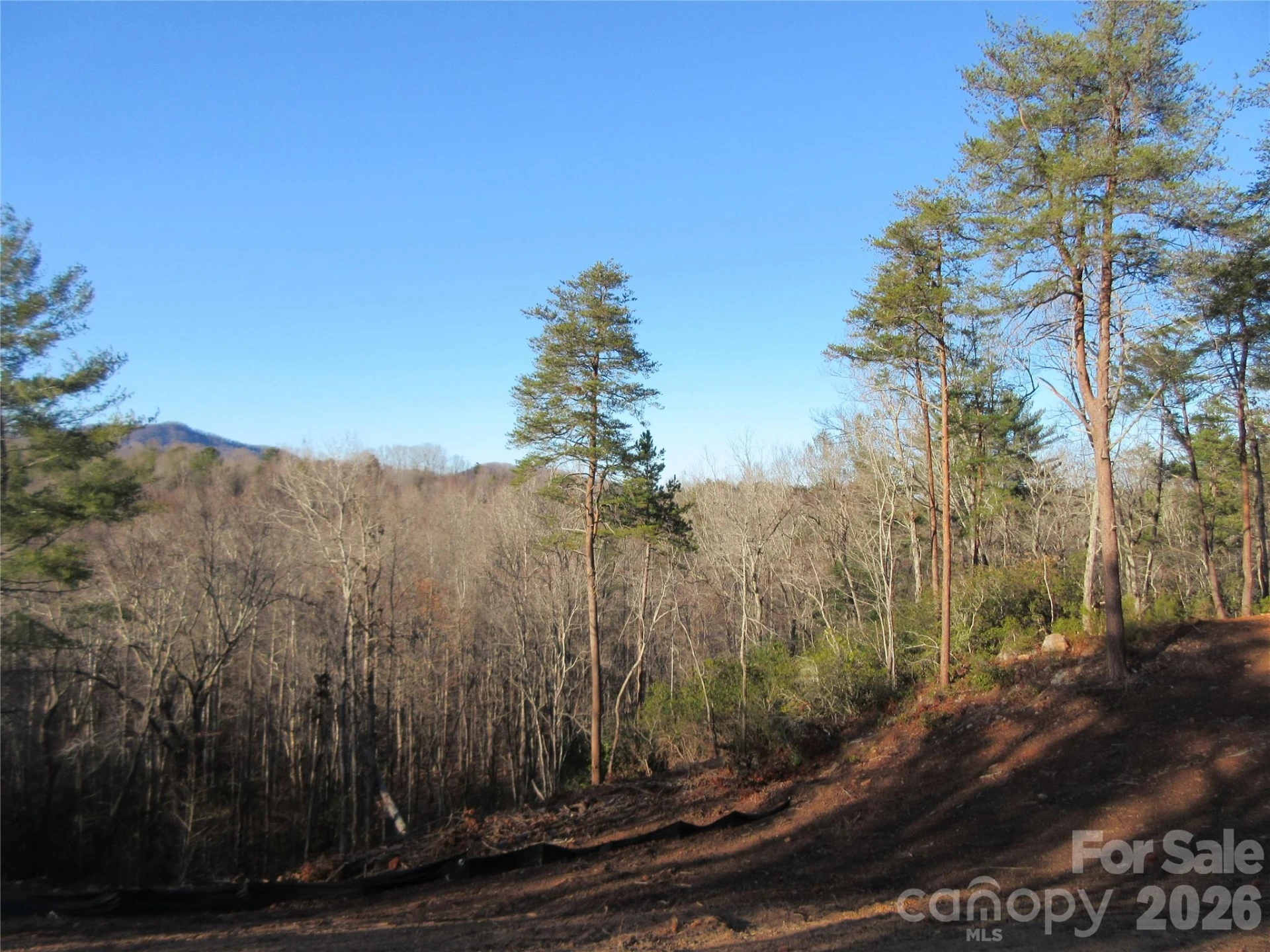 0 Levi Road - Photo 48