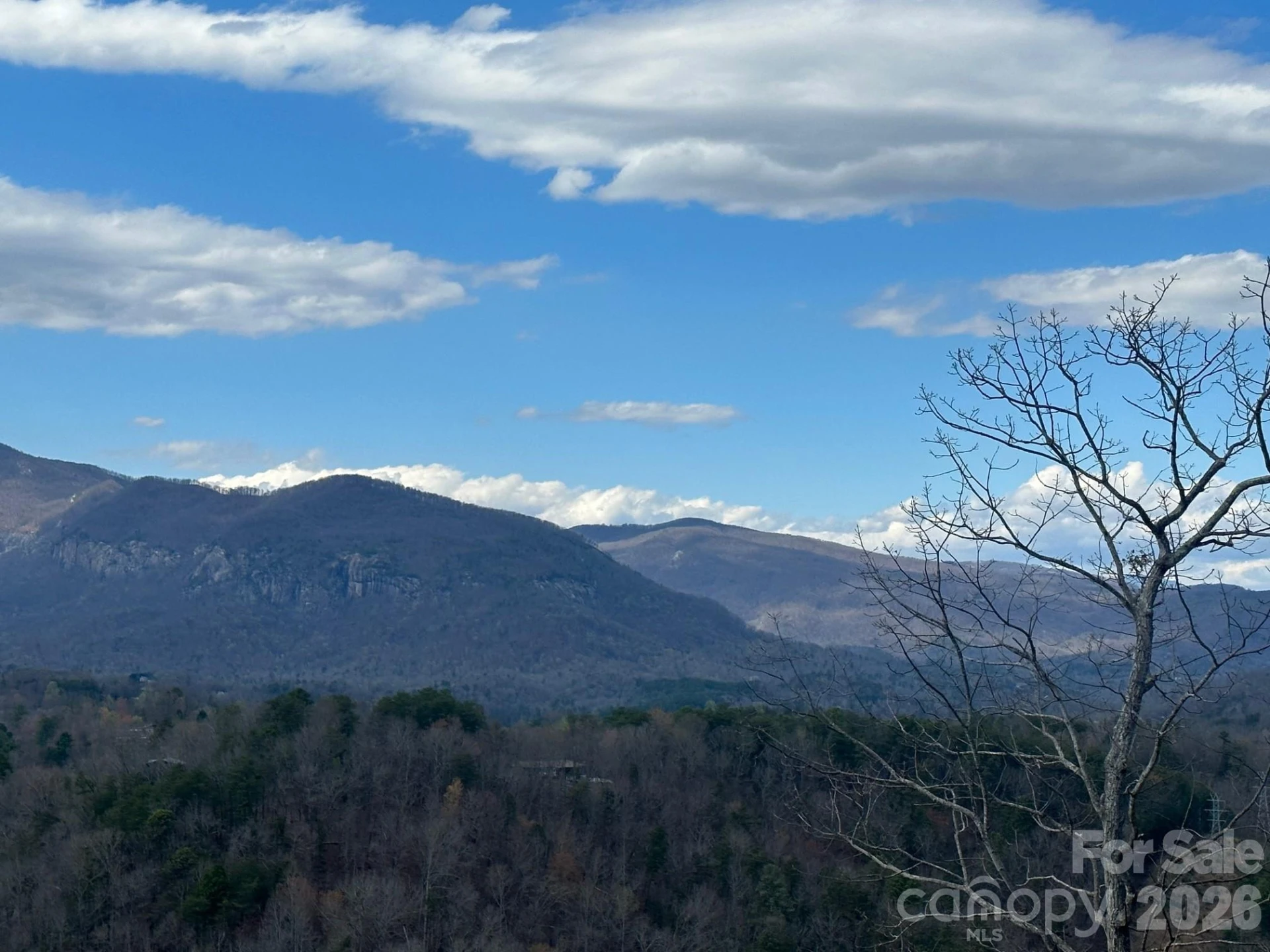 0000 Boulder Ridge - Photo 2