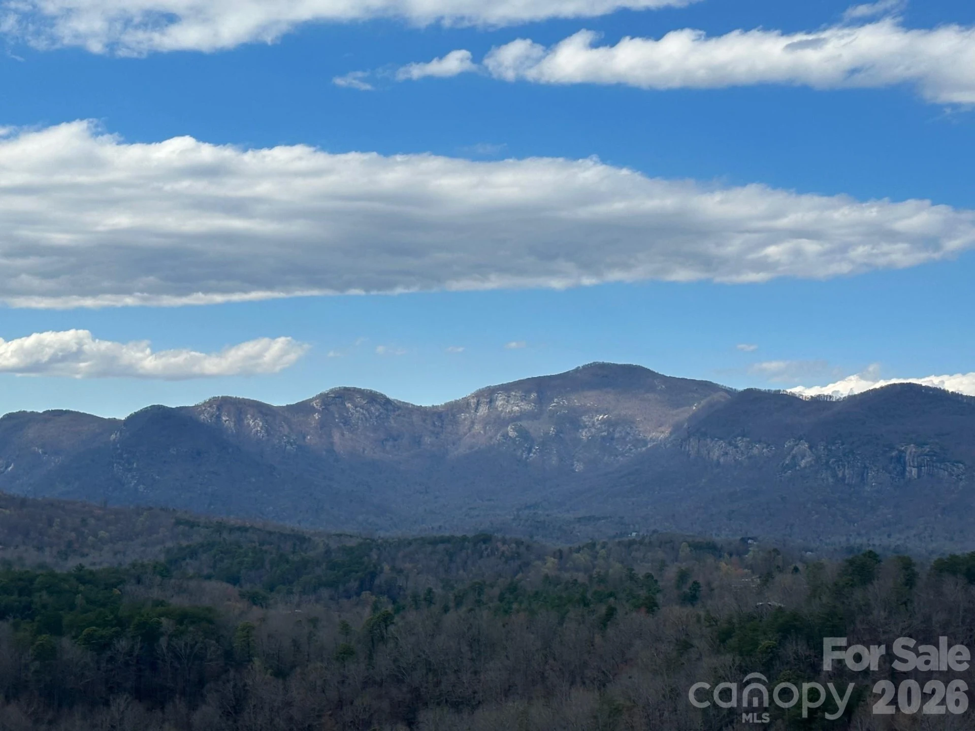 0000 Boulder Ridge - Photo 5