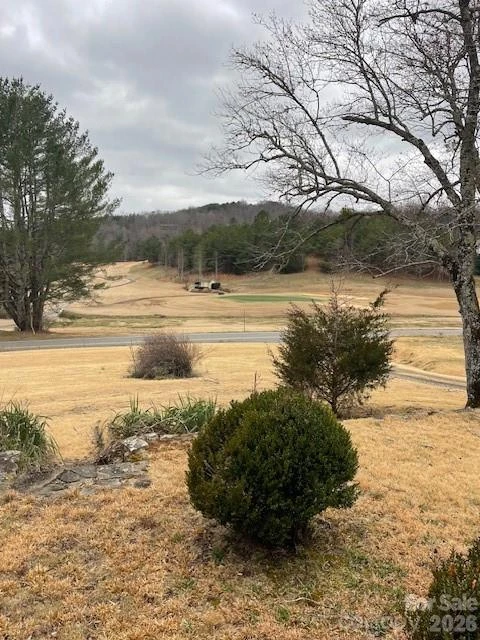 598 Buffalo Creek Road - Photo 3