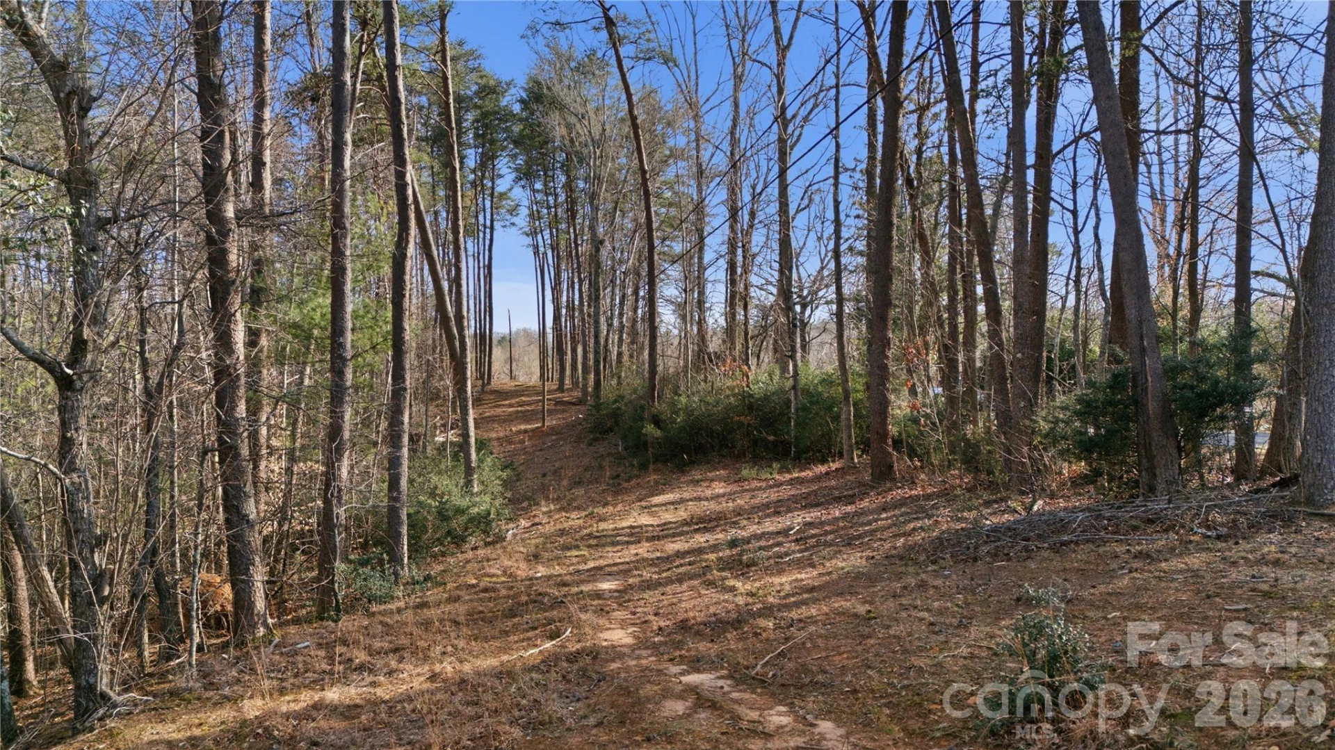 0 Hooker Road - Photo 8