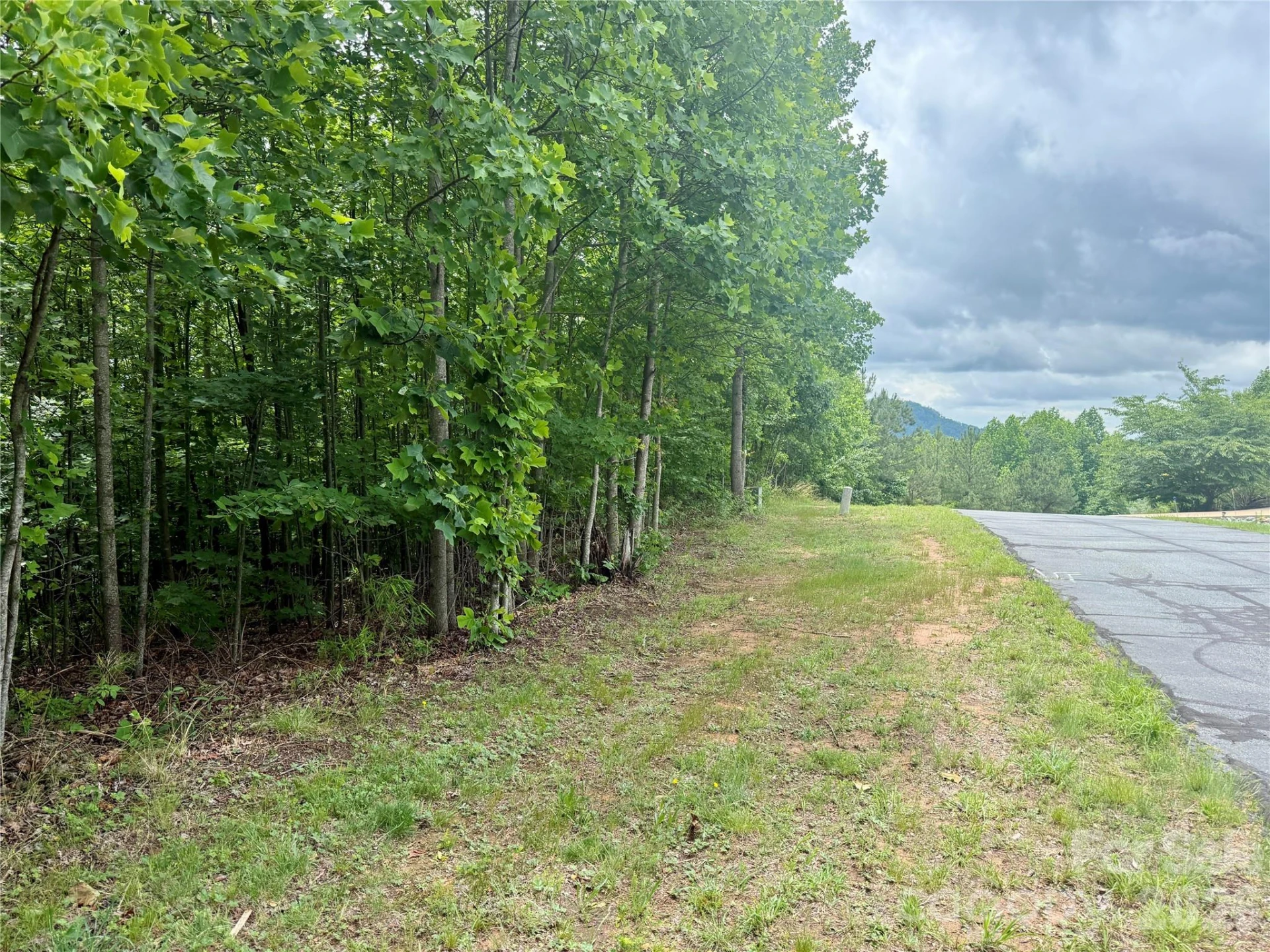 V/L Scenic Vista Drive #248 - Photo 12