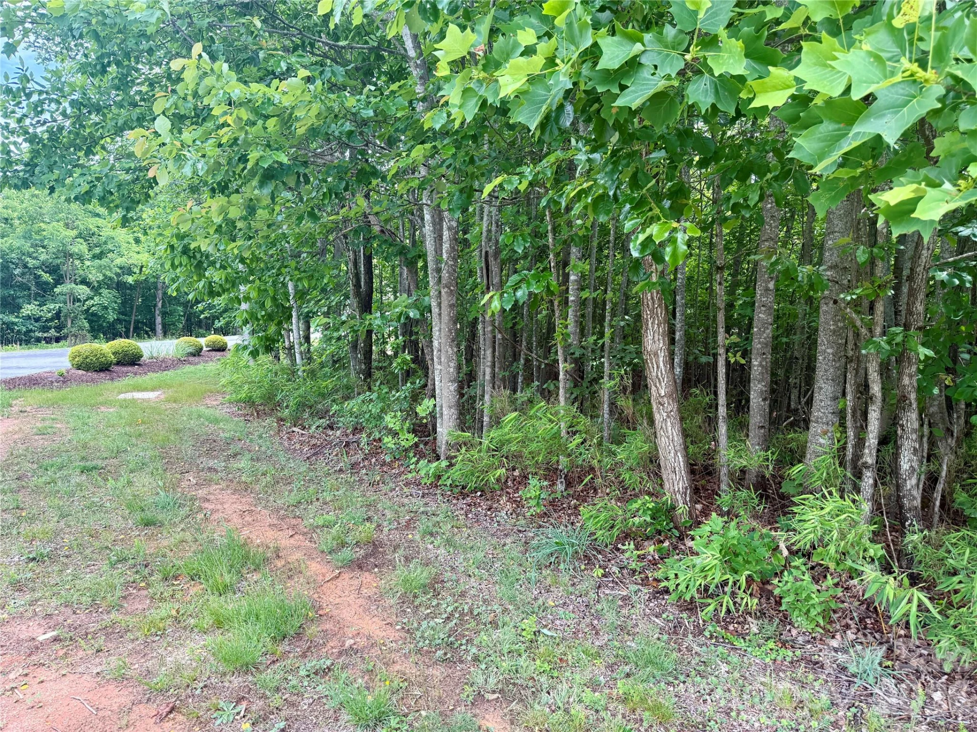 V/L Scenic Vista Drive #248 - Photo 13