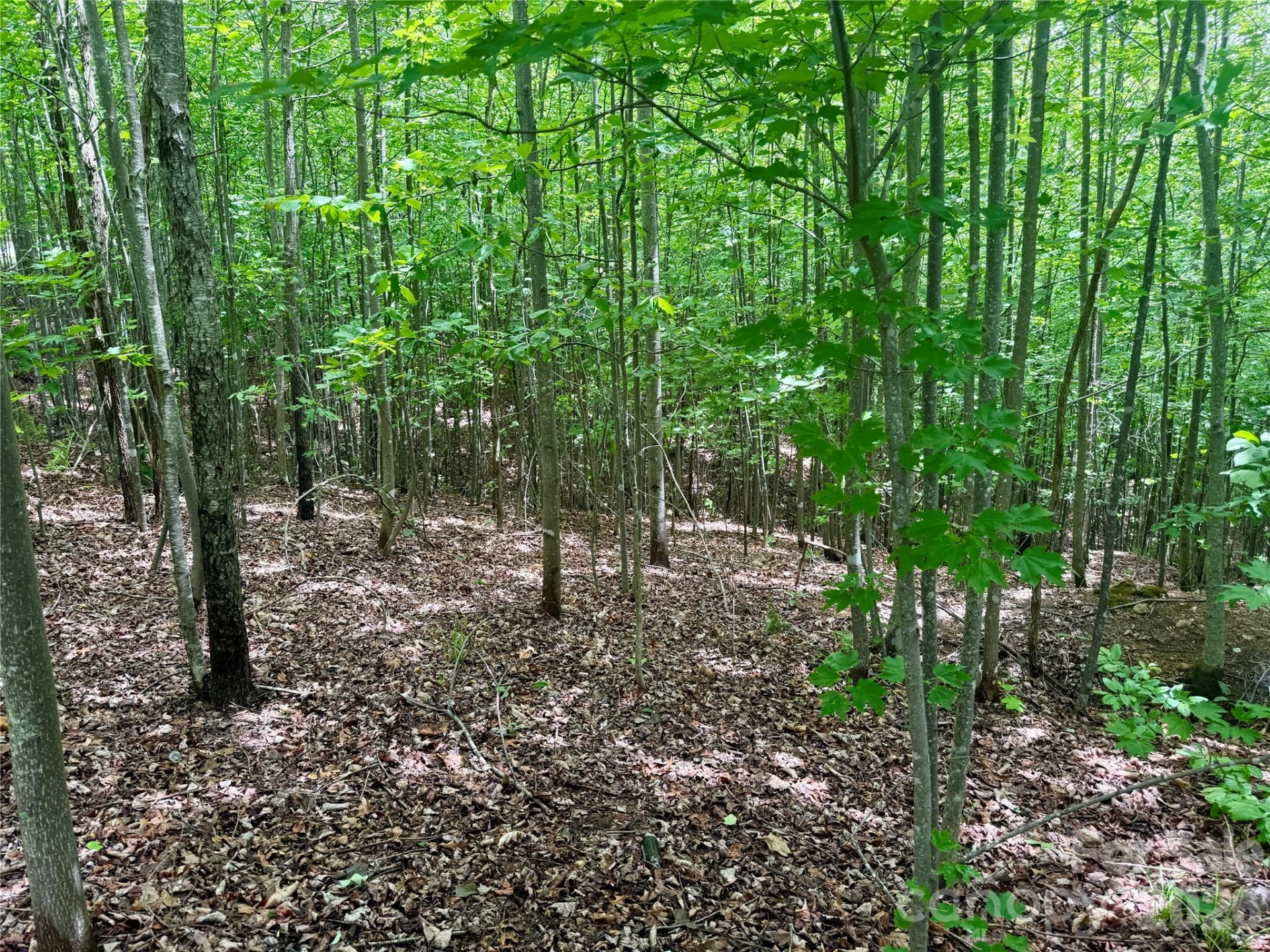 V/L Scenic Vista Drive #248 - Photo 4