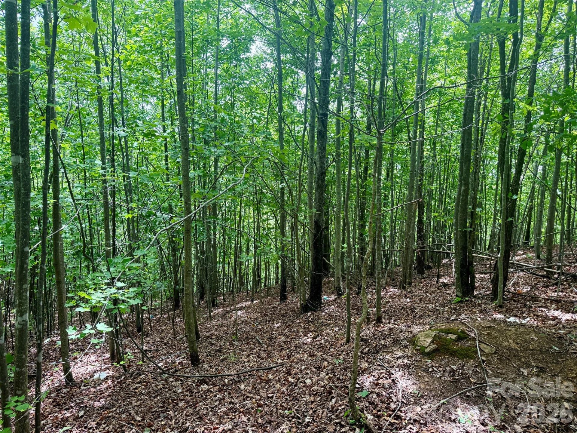 V/L Scenic Vista Drive #248 - Photo 8