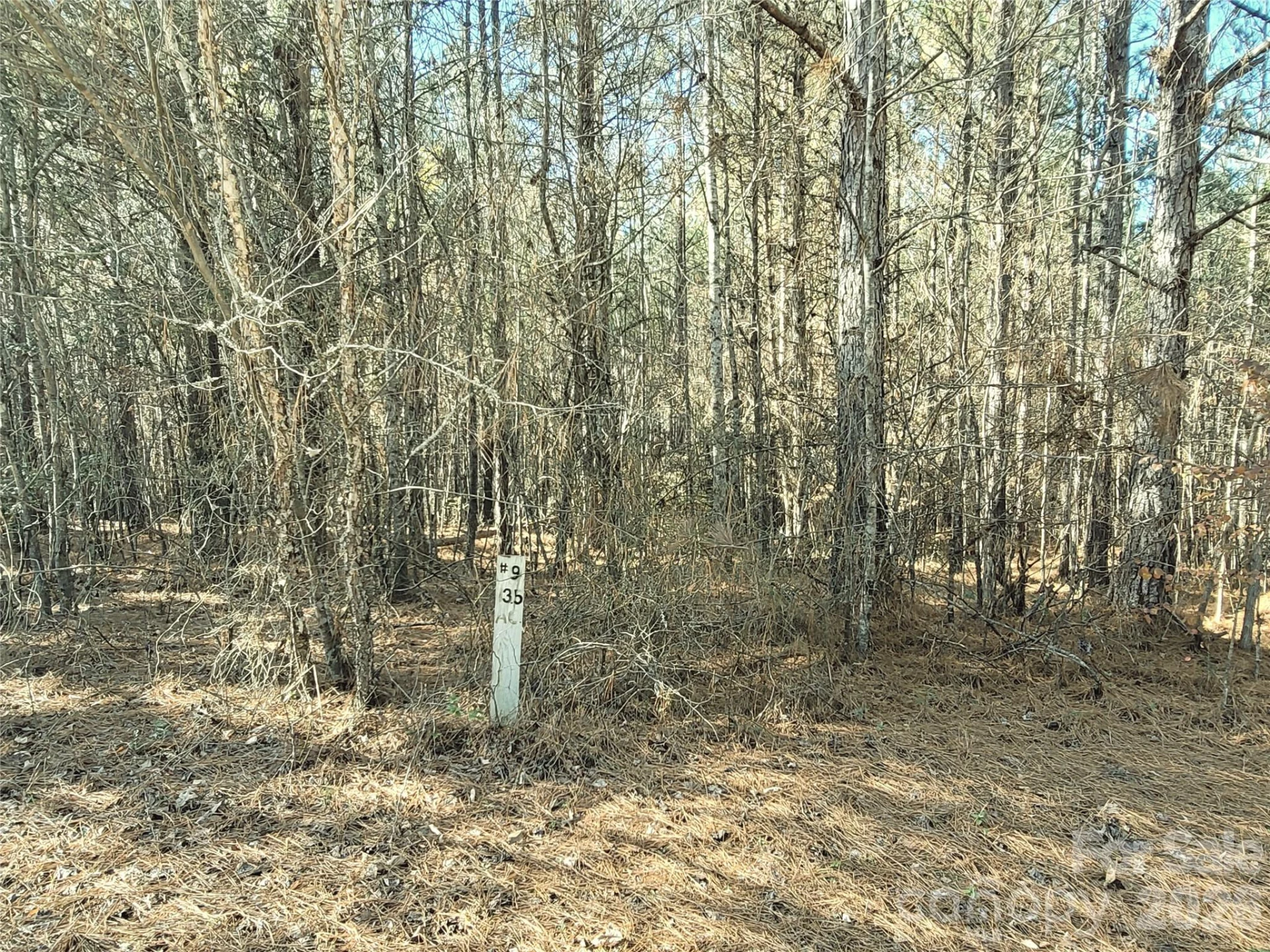 0 Farmer Johns Trail #9 - Photo 9