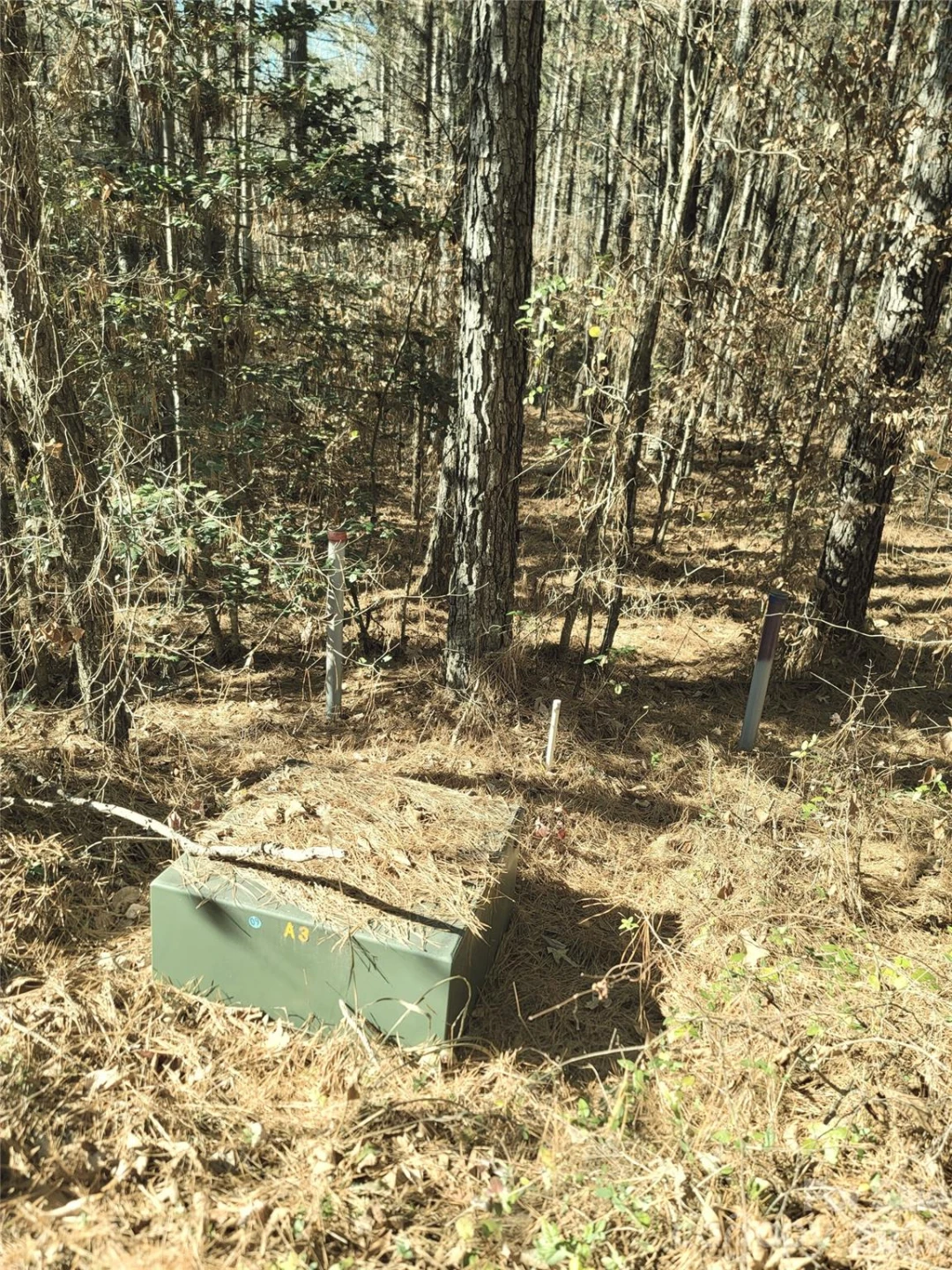 0 Farmer Johns Trail #9 - Photo 10
