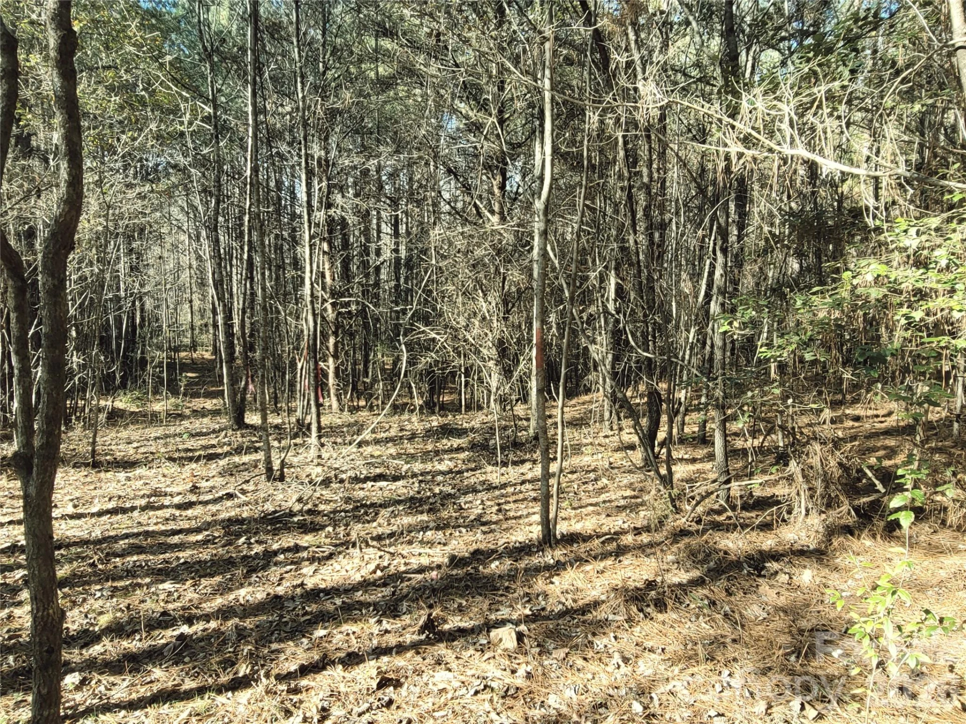0 Farmer Johns Trail #9 - Photo 11