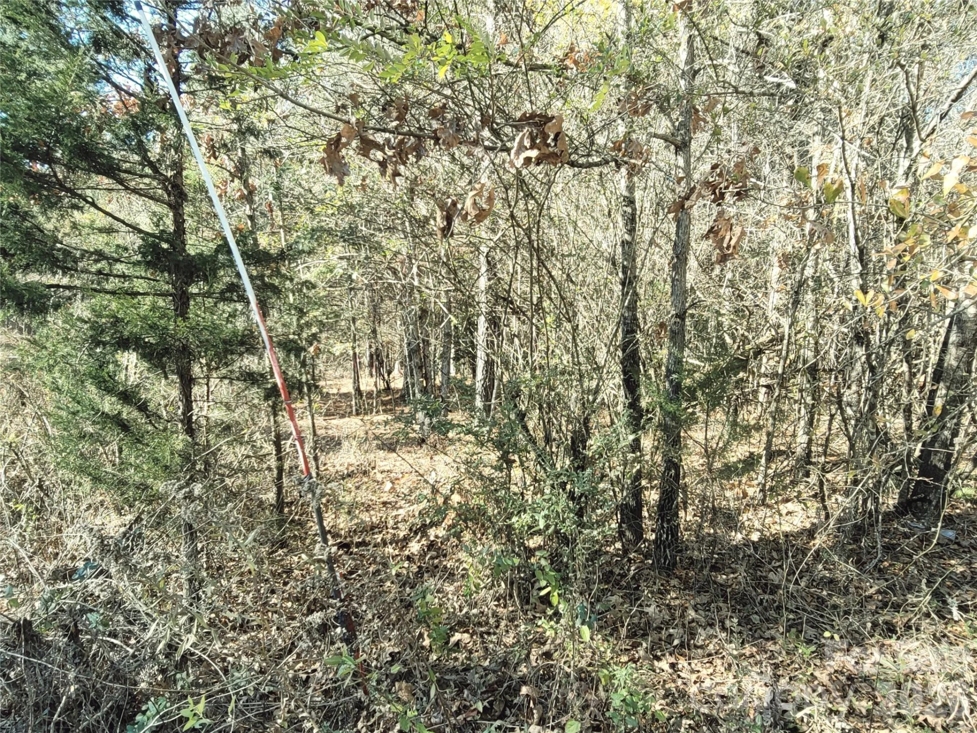 0 Farmer Johns Trail #9 - Photo 12