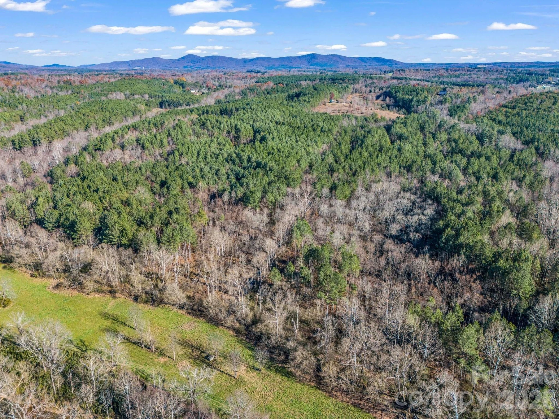 0 Farmer Johns Trail #9 - Photo 13