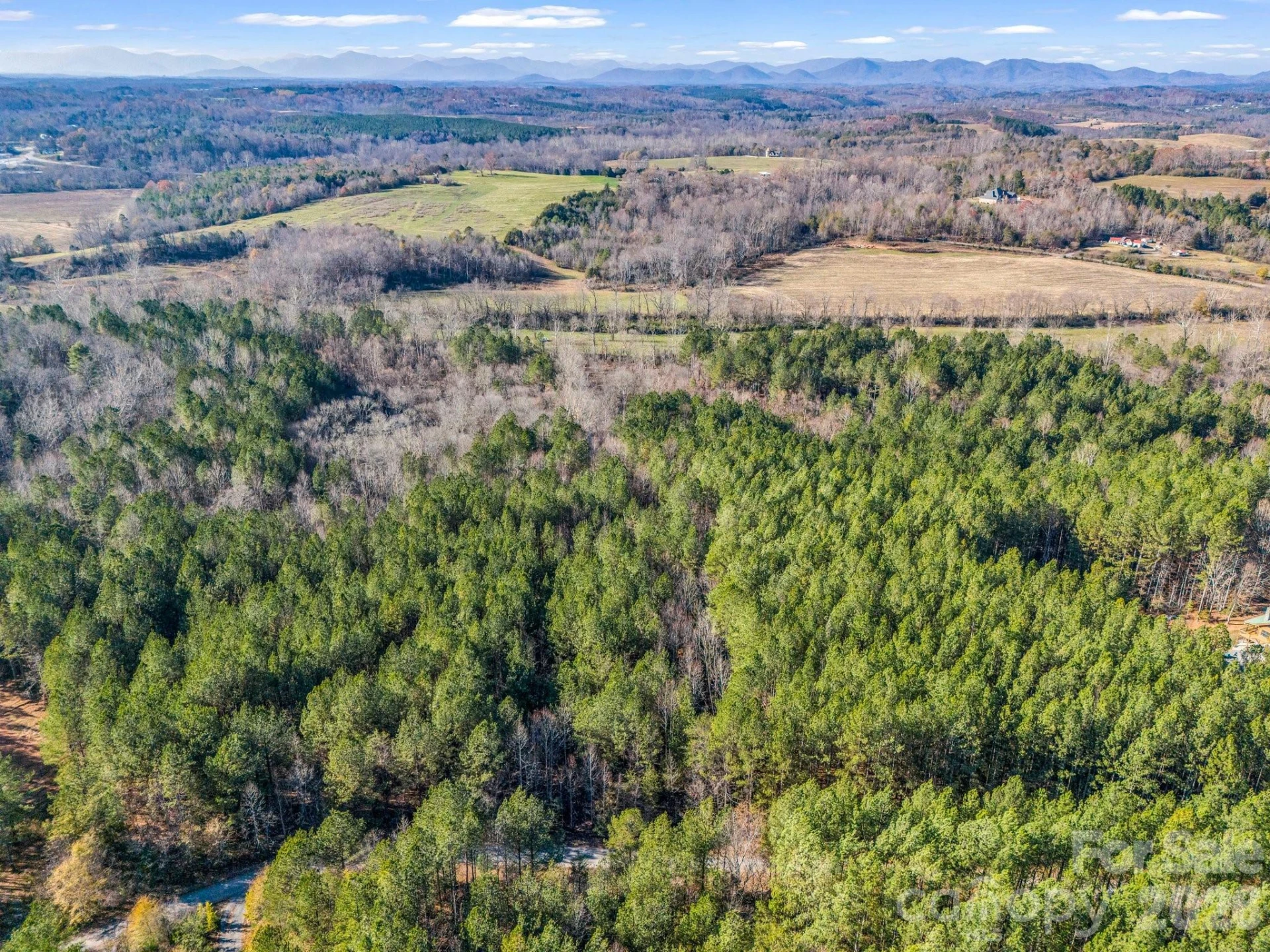 0 Farmer Johns Trail #9 - Photo 15
