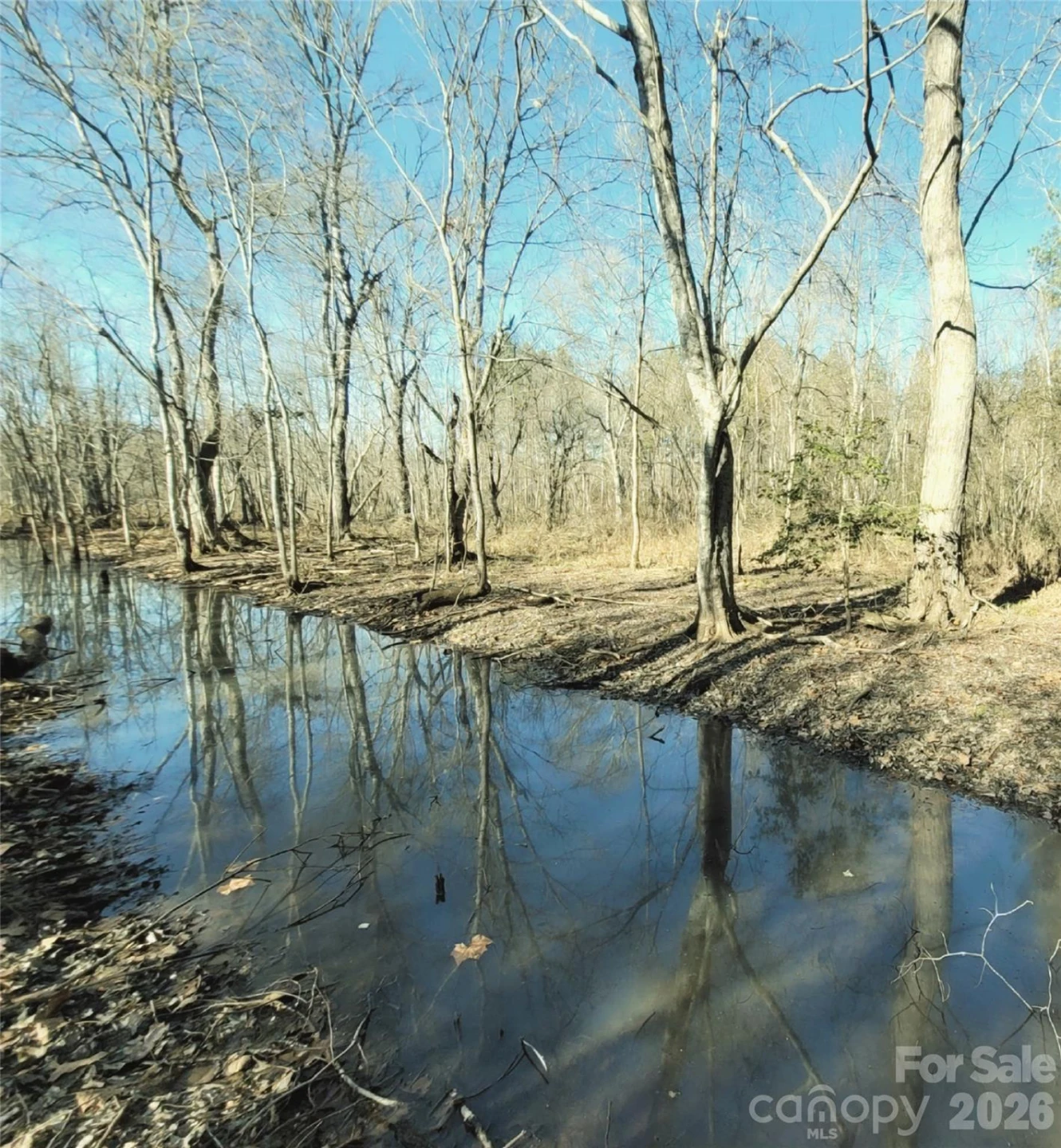 0 Farmer Johns Trail #9 - Photo 3