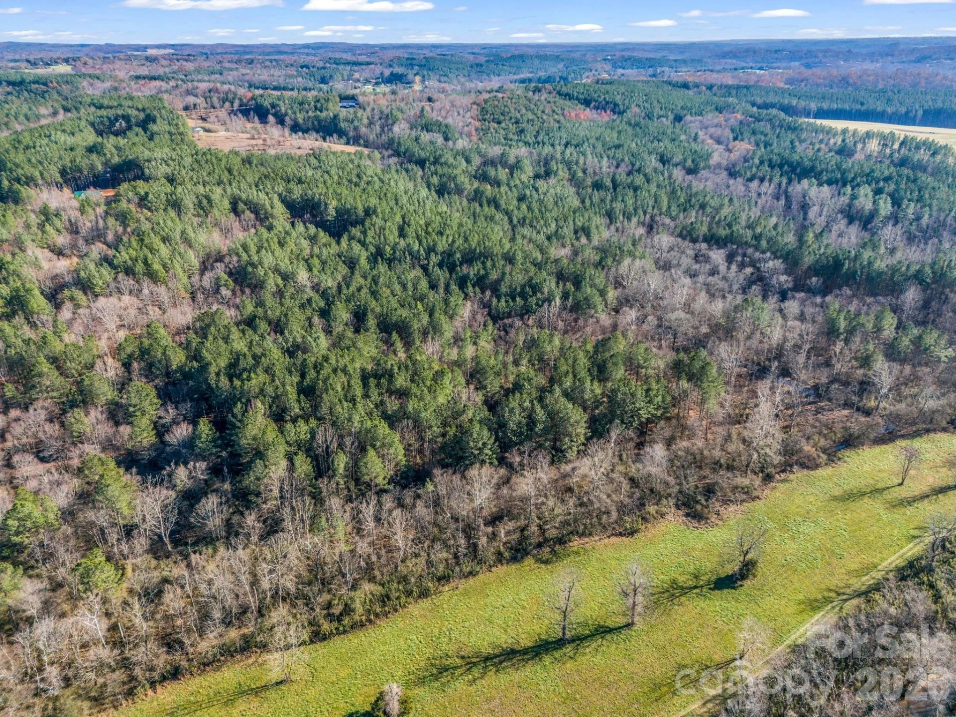 0 Farmer Johns Trail #9 - Photo 19