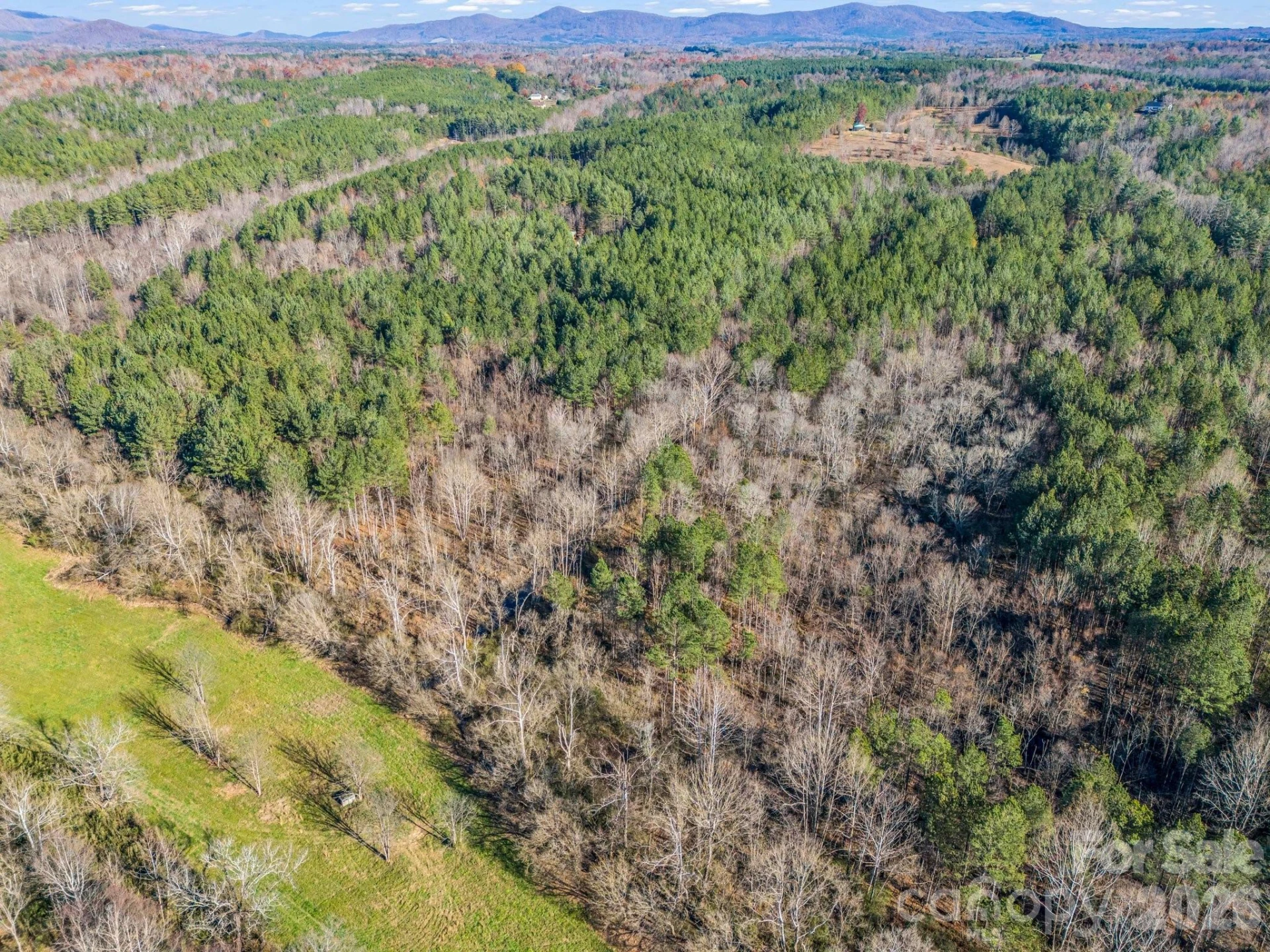 0 Farmer Johns Trail #9 - Photo 21