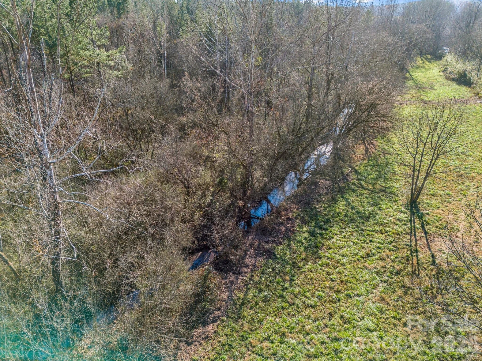 0 Farmer Johns Trail #9 - Photo 22