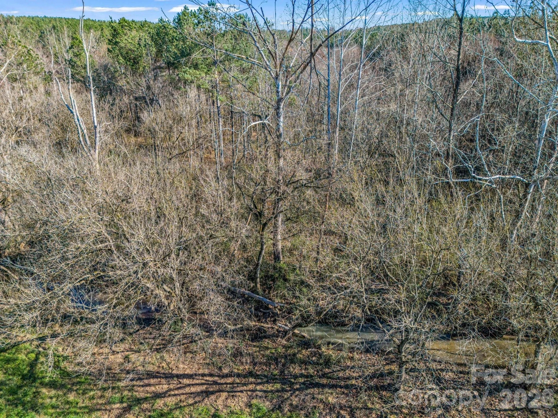 0 Farmer Johns Trail #9 - Photo 23