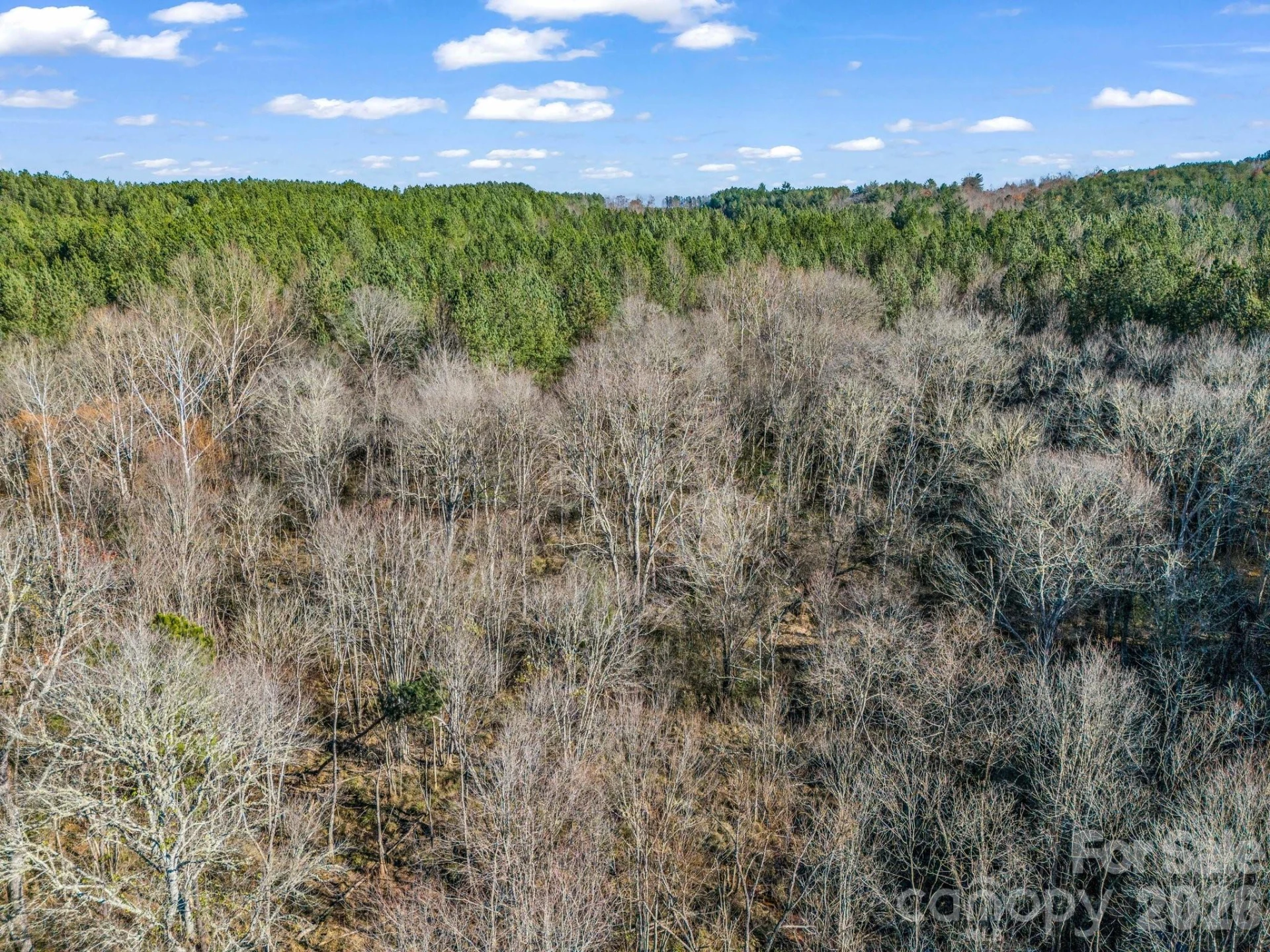 0 Farmer Johns Trail #9 - Photo 26
