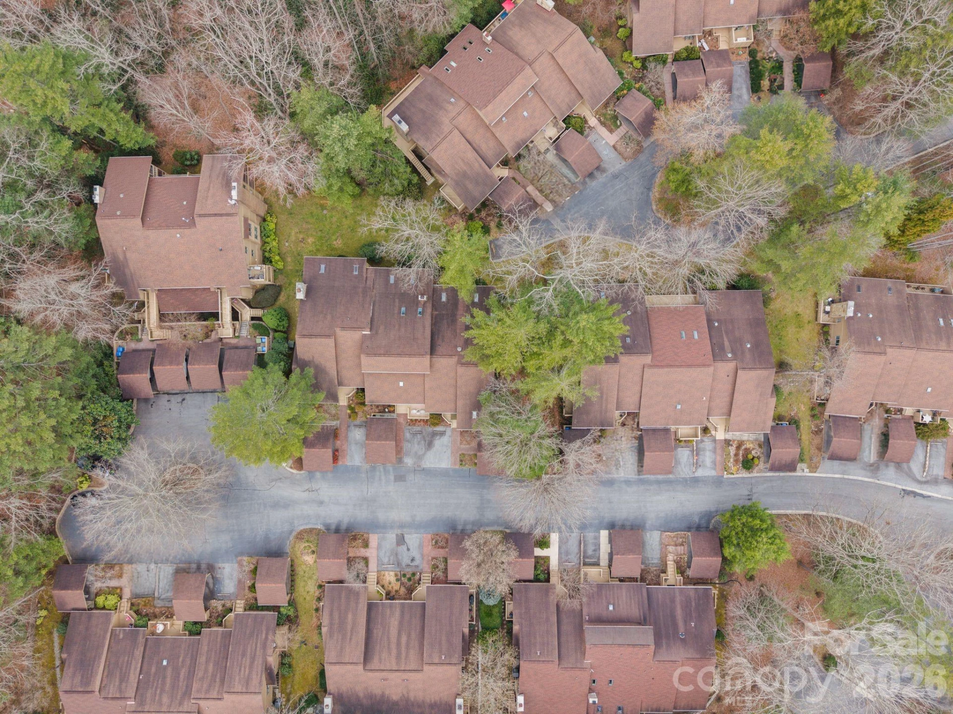 301 N Scarlet Oak Lane - Photo 3