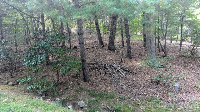101 Scenic Drive