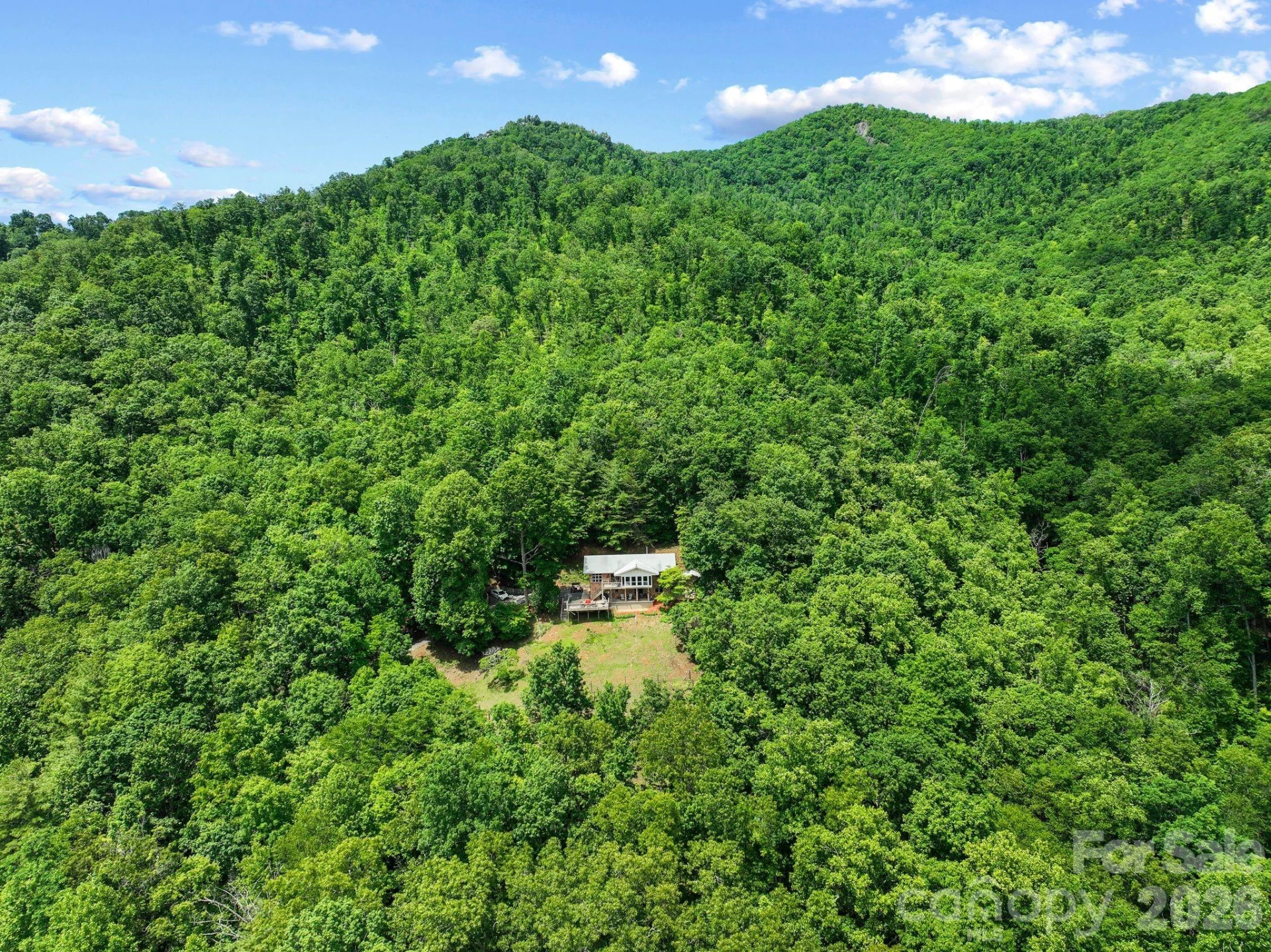 60 Little Creek Drive - Photo 43