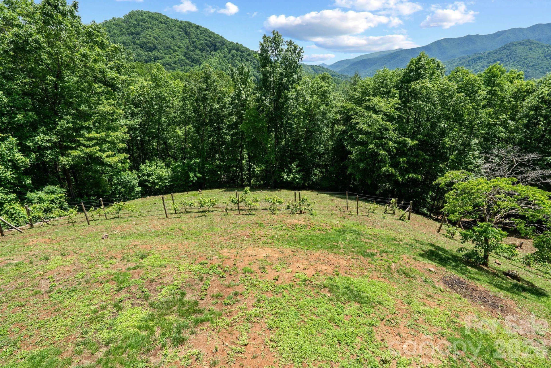 60 Little Creek Drive - Photo 44