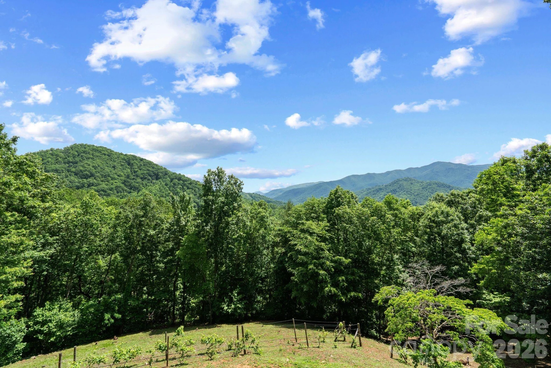 60 Little Creek Drive - Photo 45