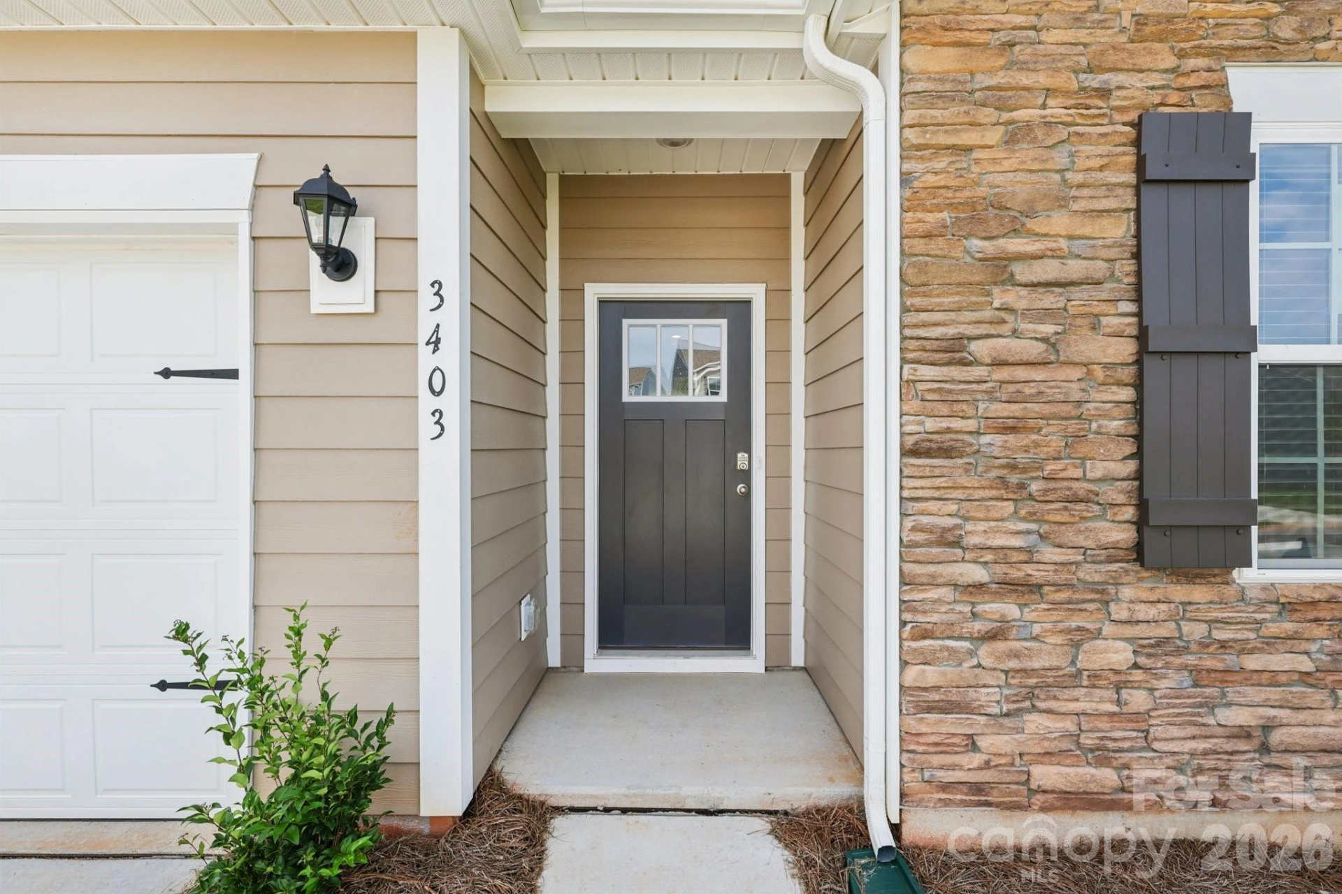 25 Cora View Trail - Photo 3