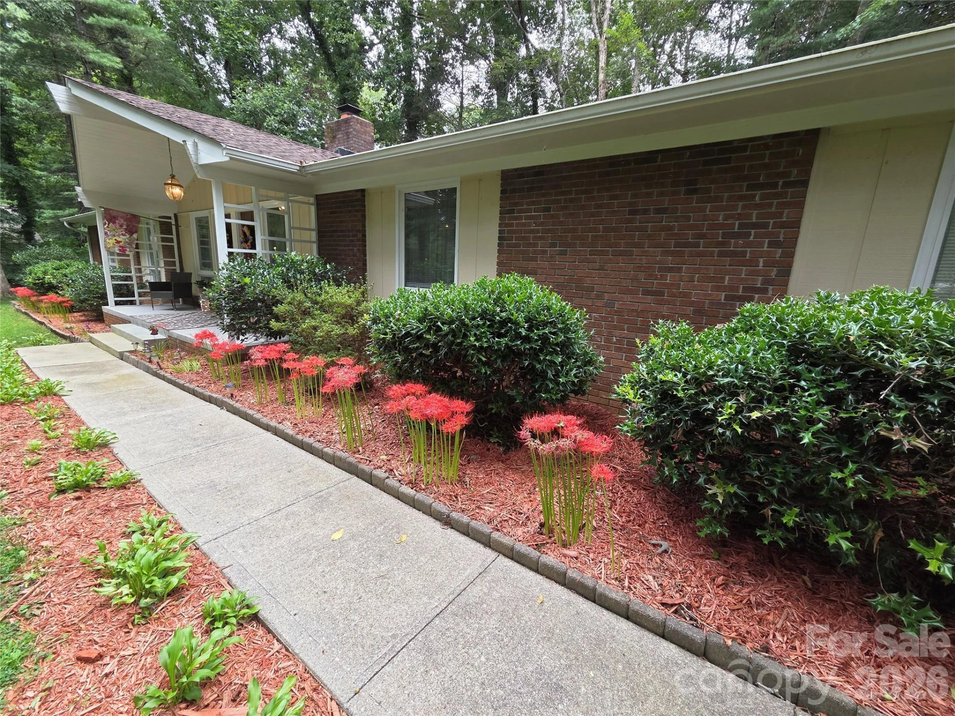 106 E Laurel Lane - Photo 3