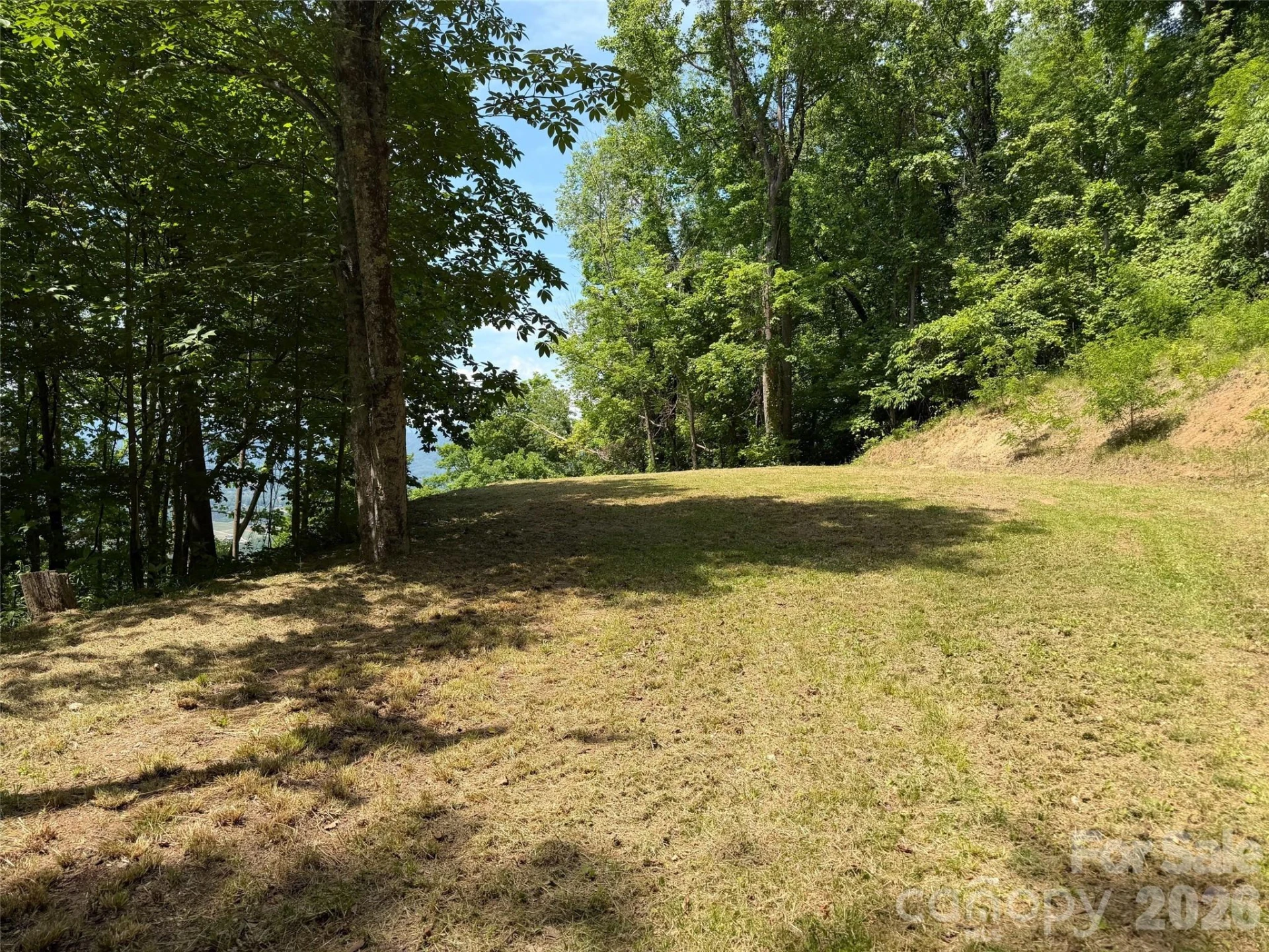 399 Goodson Spring Road - Photo 3