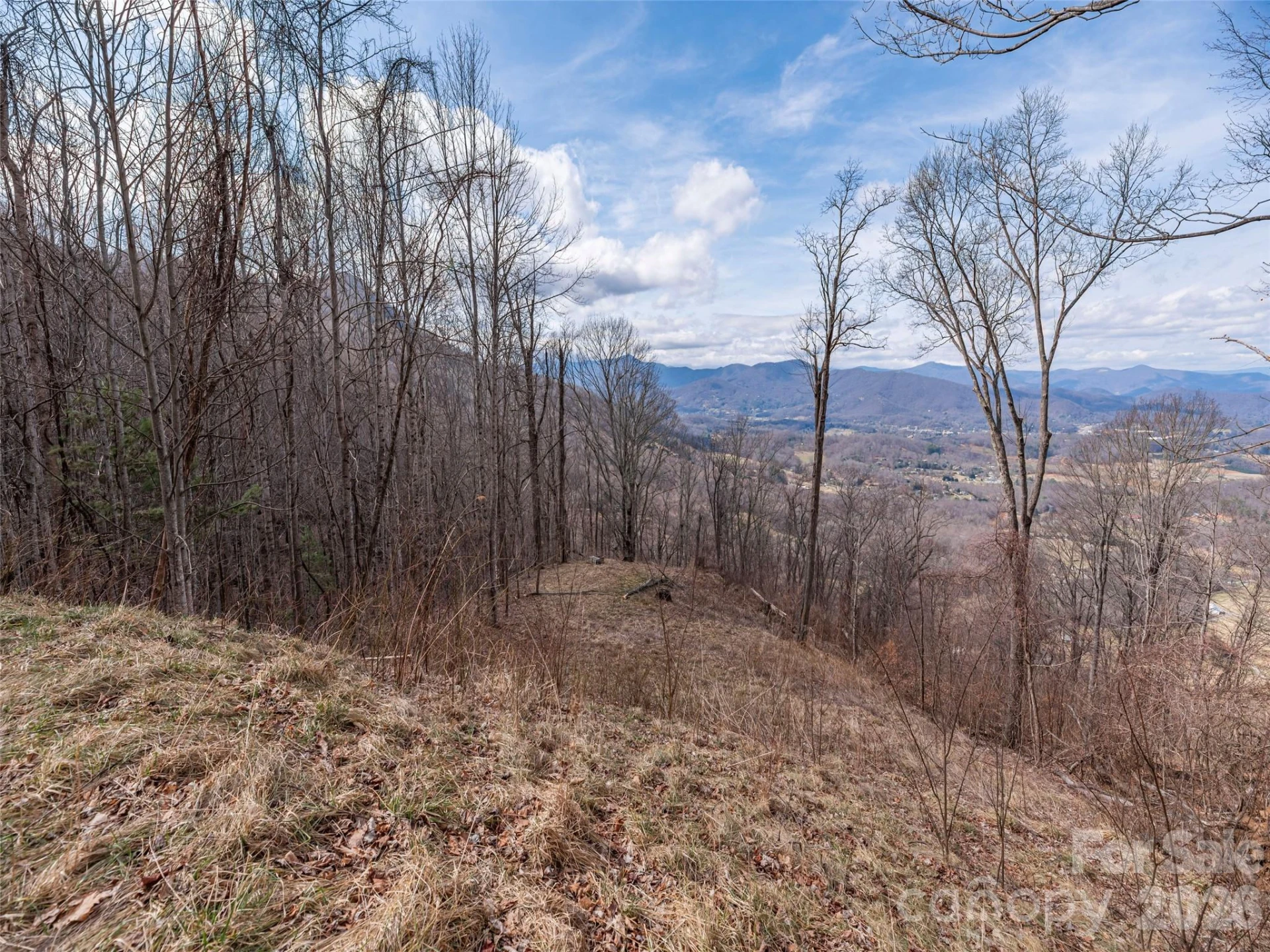 399 Goodson Spring Road - Photo 12