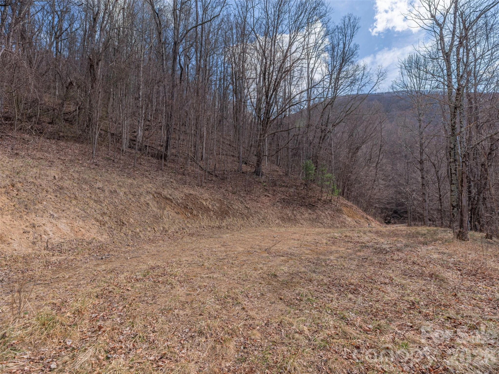 399 Goodson Spring Road - Photo 13