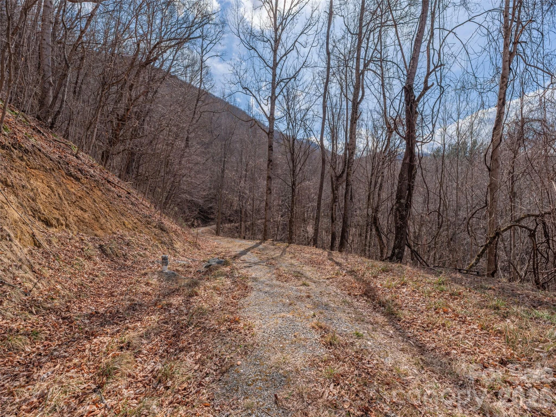 399 Goodson Spring Road - Photo 14