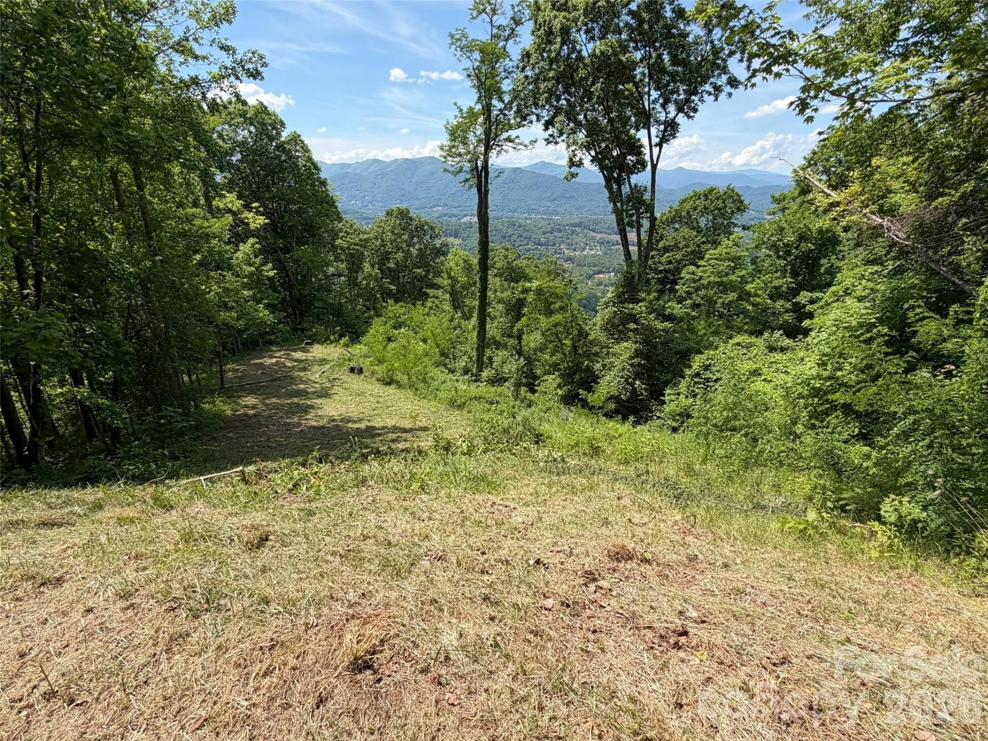 399 Goodson Spring Road - Photo 5